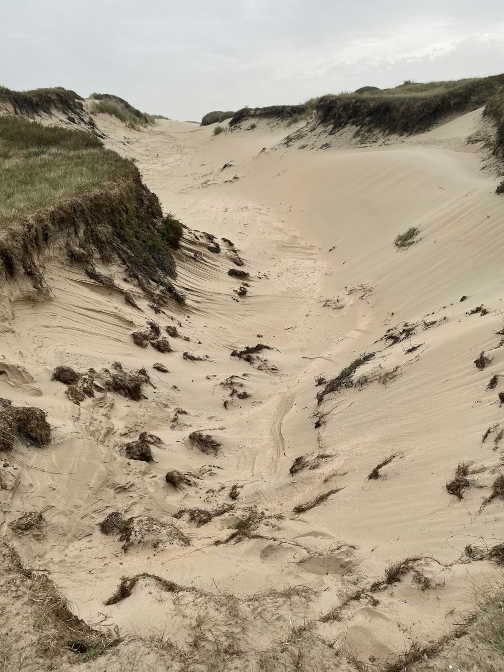 a sandy beach with grass and sand dunes