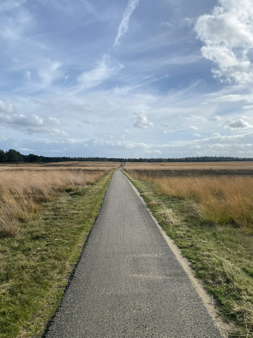 a paved road in the middle of a field