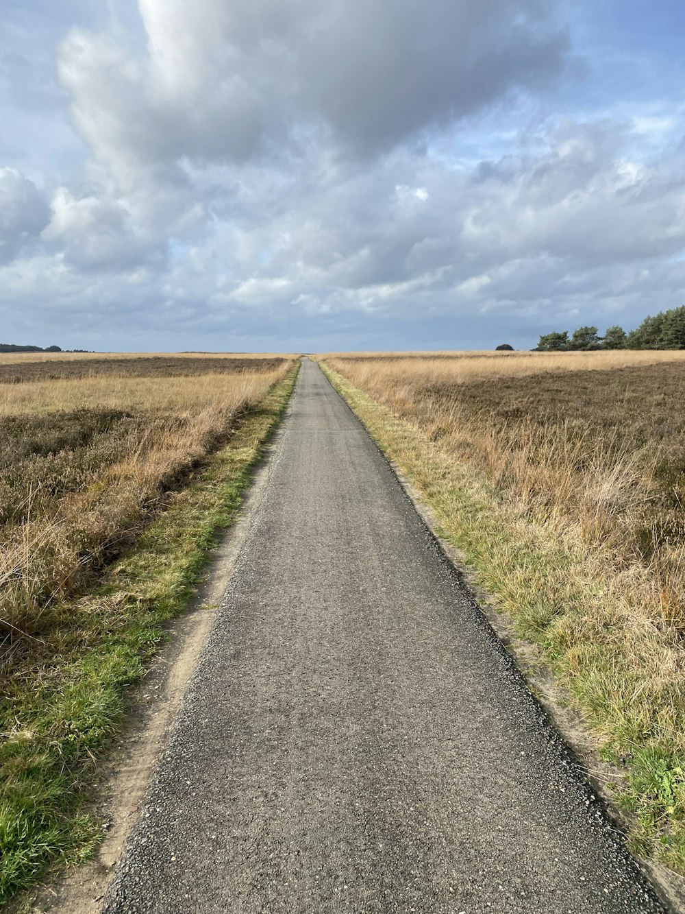 an empty road in the middle of a field
