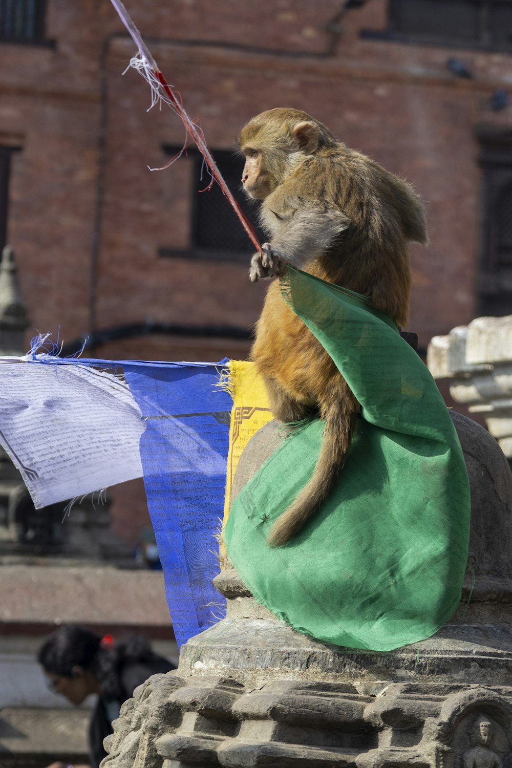 a monkey sitting on top of a stone structure