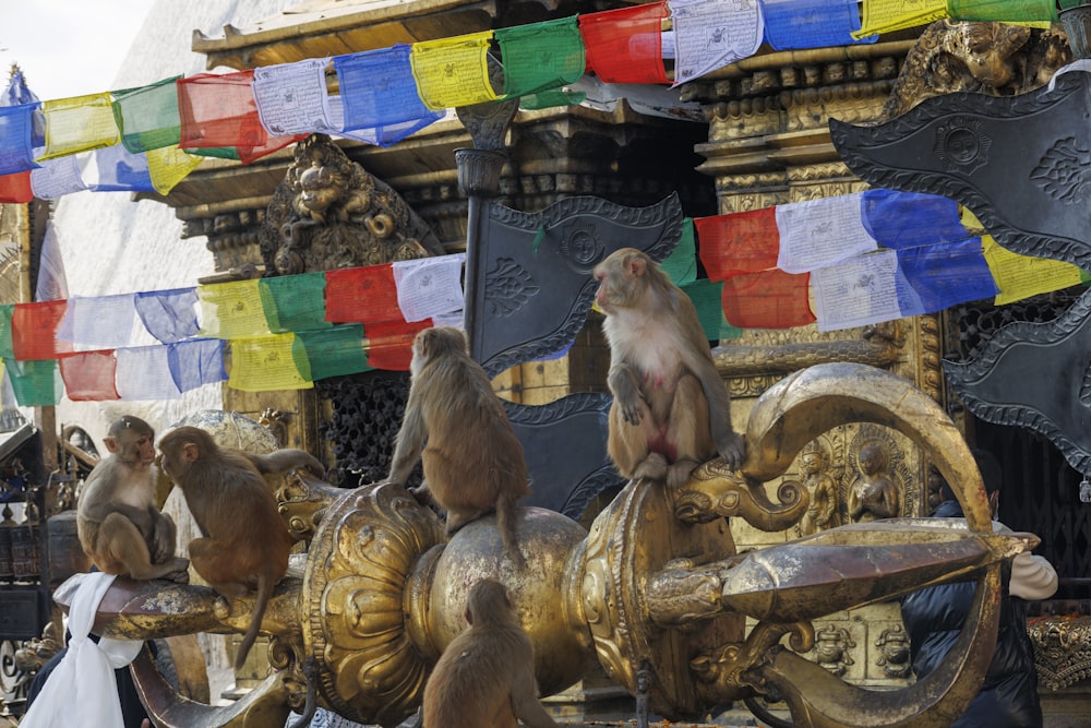 un grupo de monos sentados en la cima de una estatua dorada