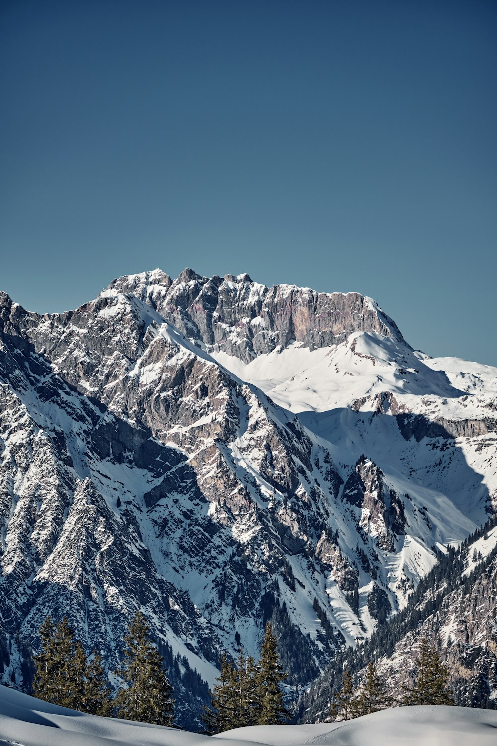 a snow covered mountain range with trees in the foreground