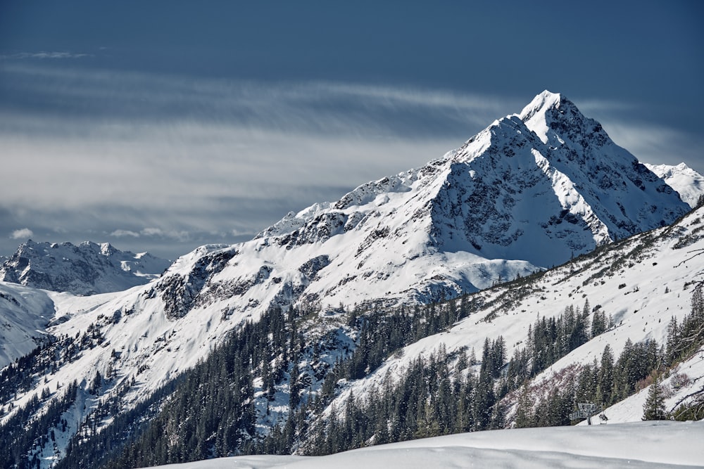 a mountain covered in snow with trees in the foreground