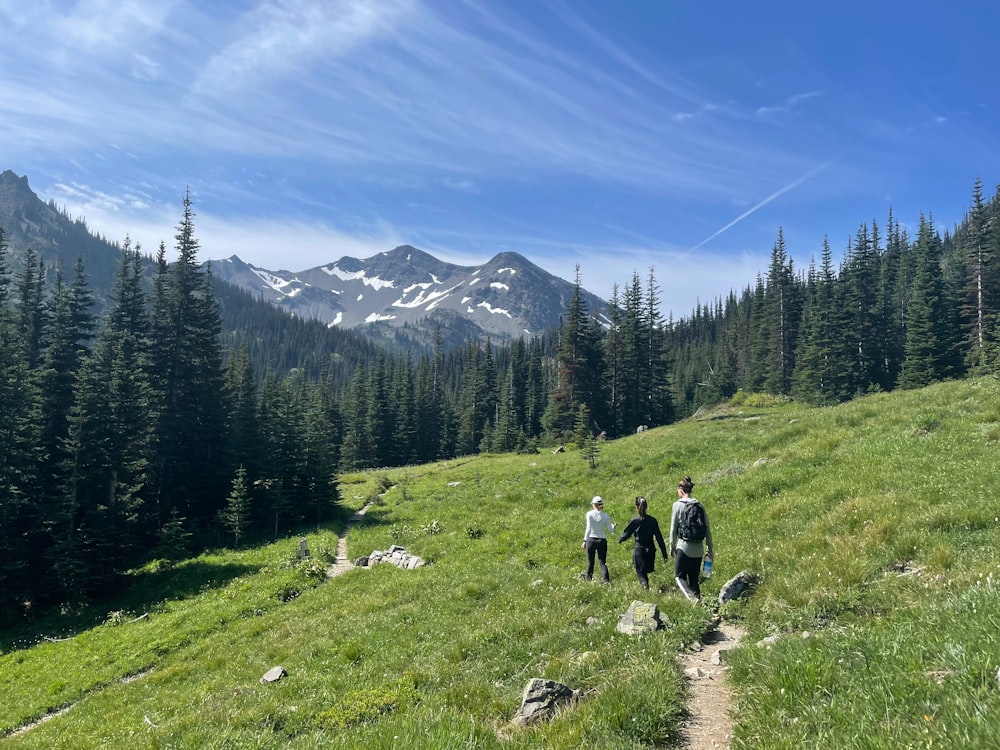 a group of people hiking up a grassy hill