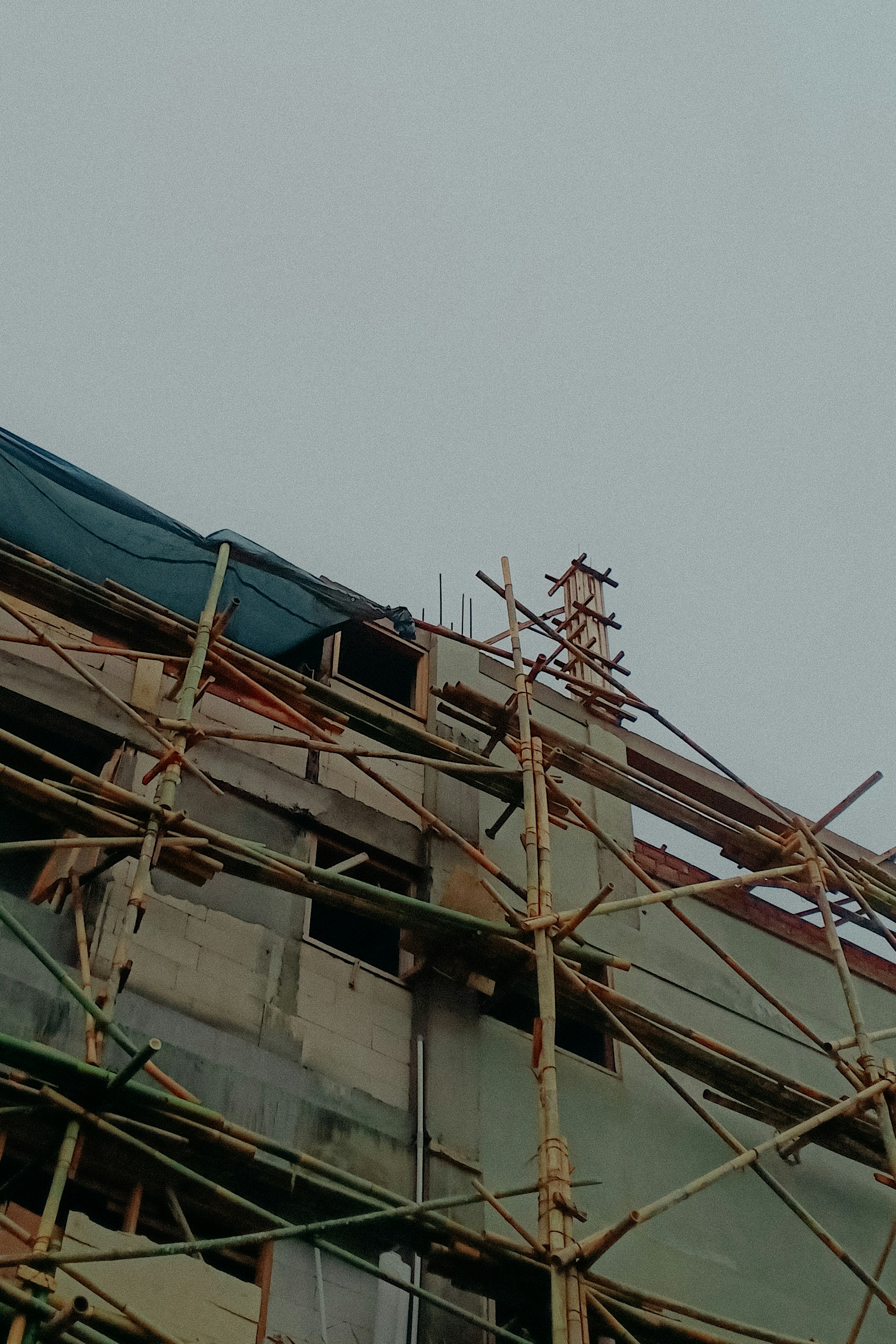 Photo by hybridnighthawk