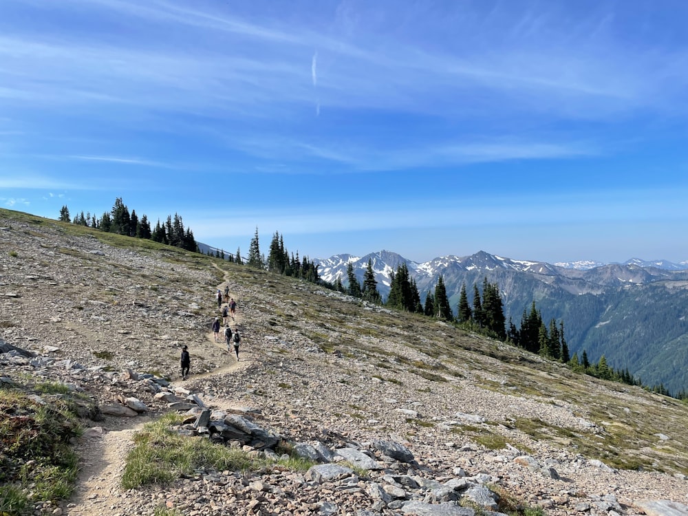 a couple of people walking up a hill