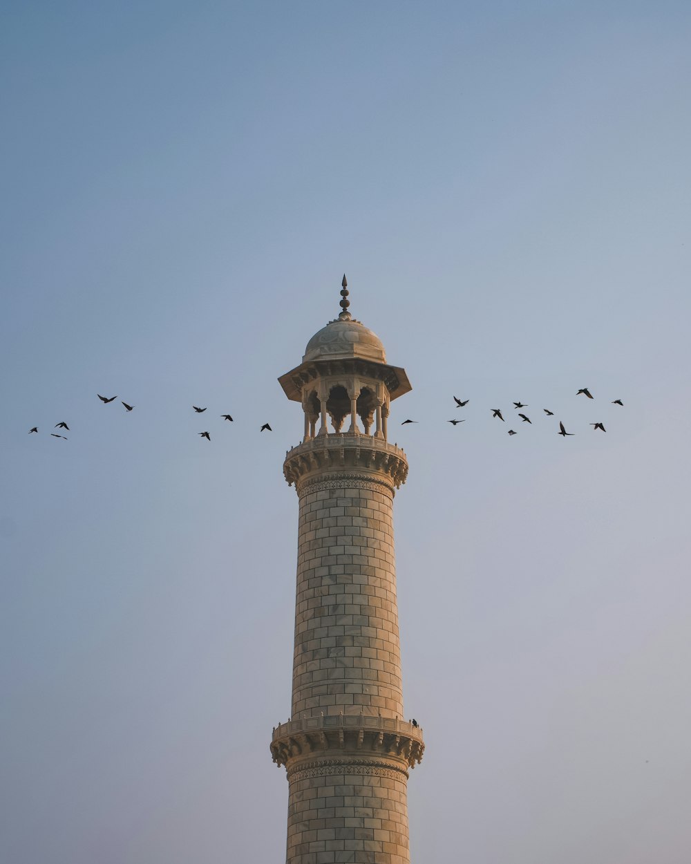a flock of birds flying over a tall tower