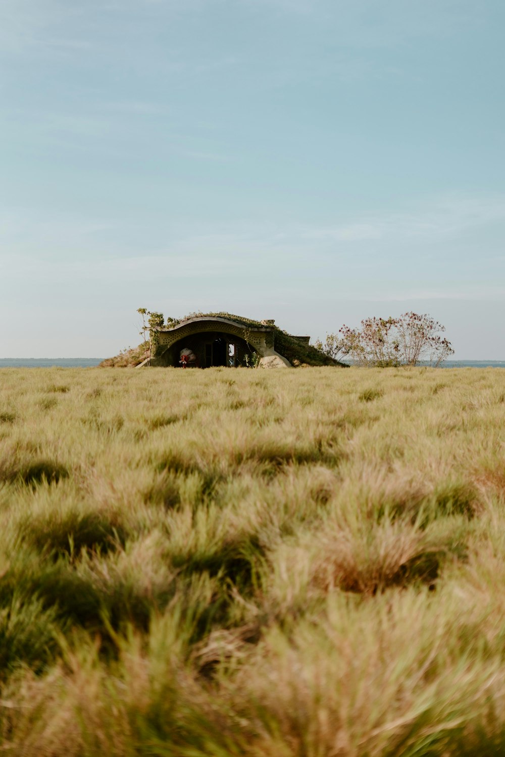 a grassy field with a small structure in the middle of it