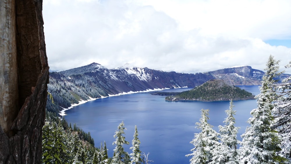 a large body of water surrounded by snow covered trees