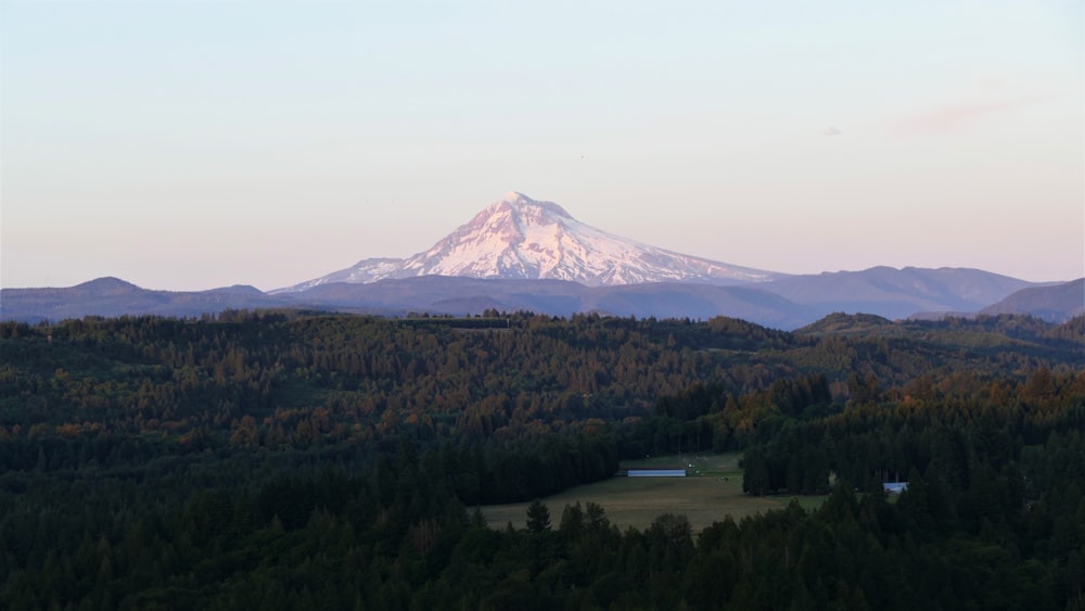 a view of a mountain with trees in the foreground