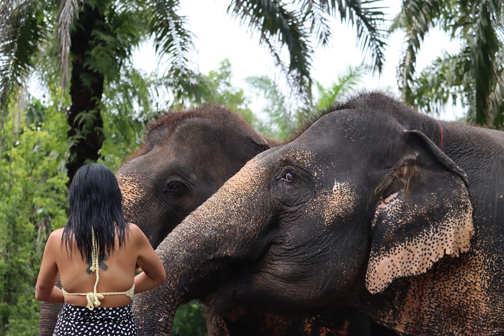 a woman in a bikini standing next to two elephants