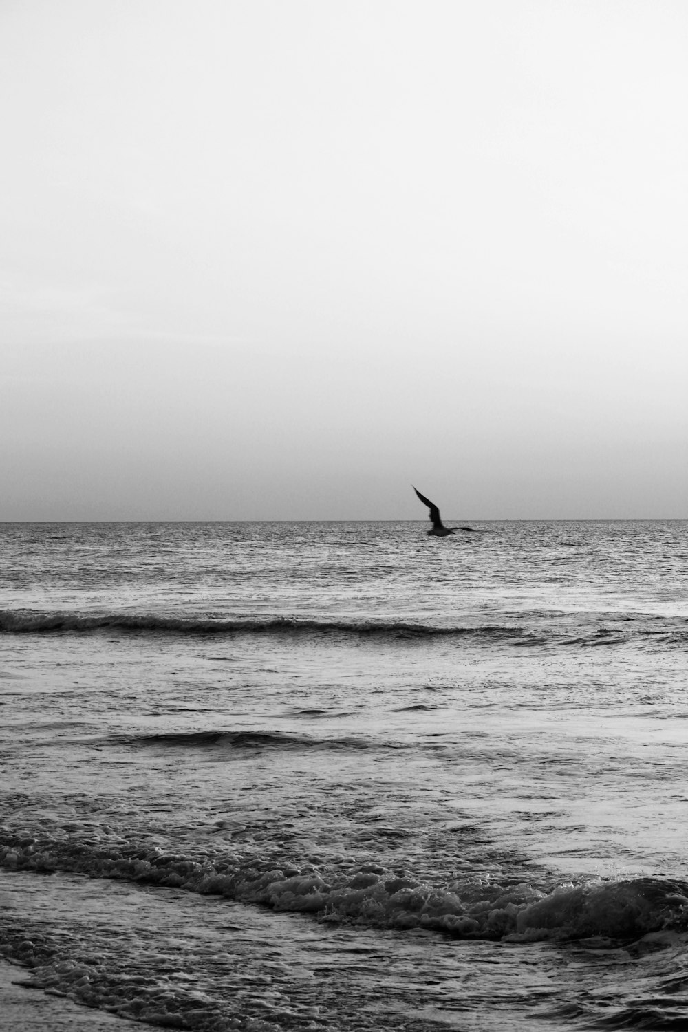 a black and white photo of a bird flying over the ocean