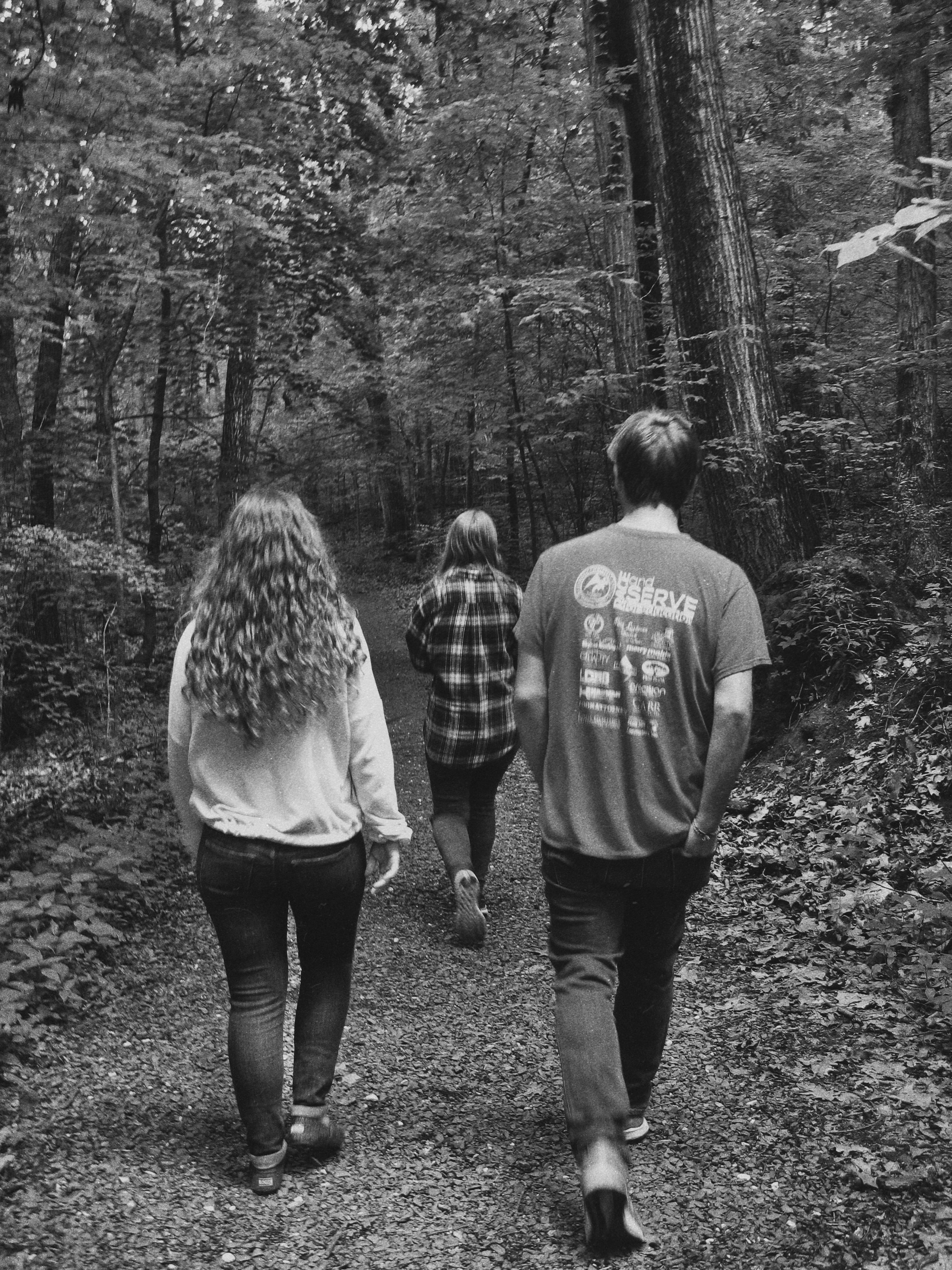 Three people walking down a path in the woods photo – Free Grey Image ...
