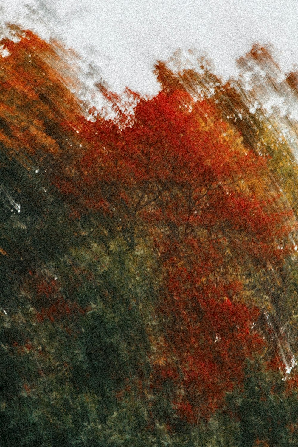 a blurry photo of a tree with red leaves