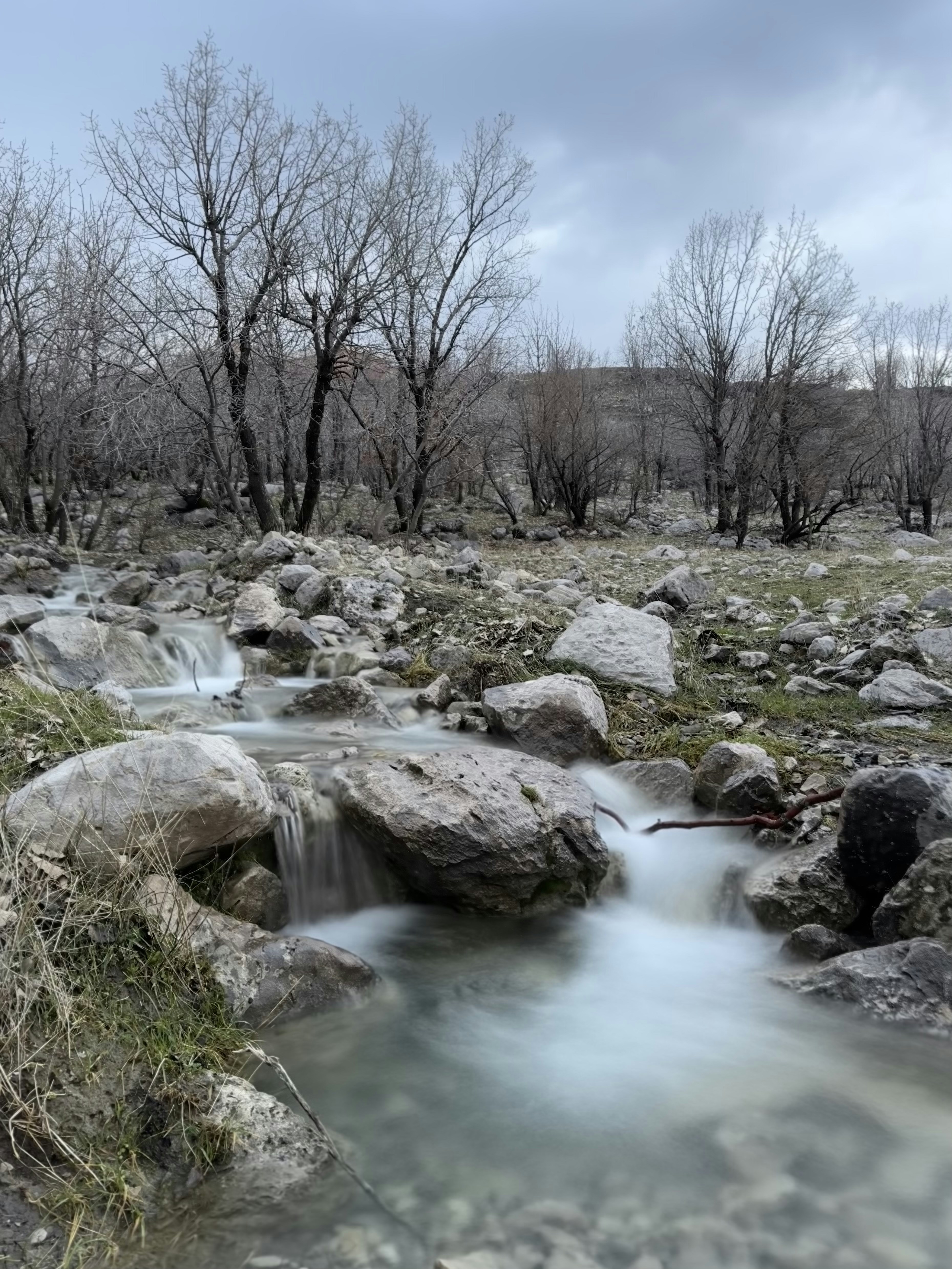 Photo by zanniyar