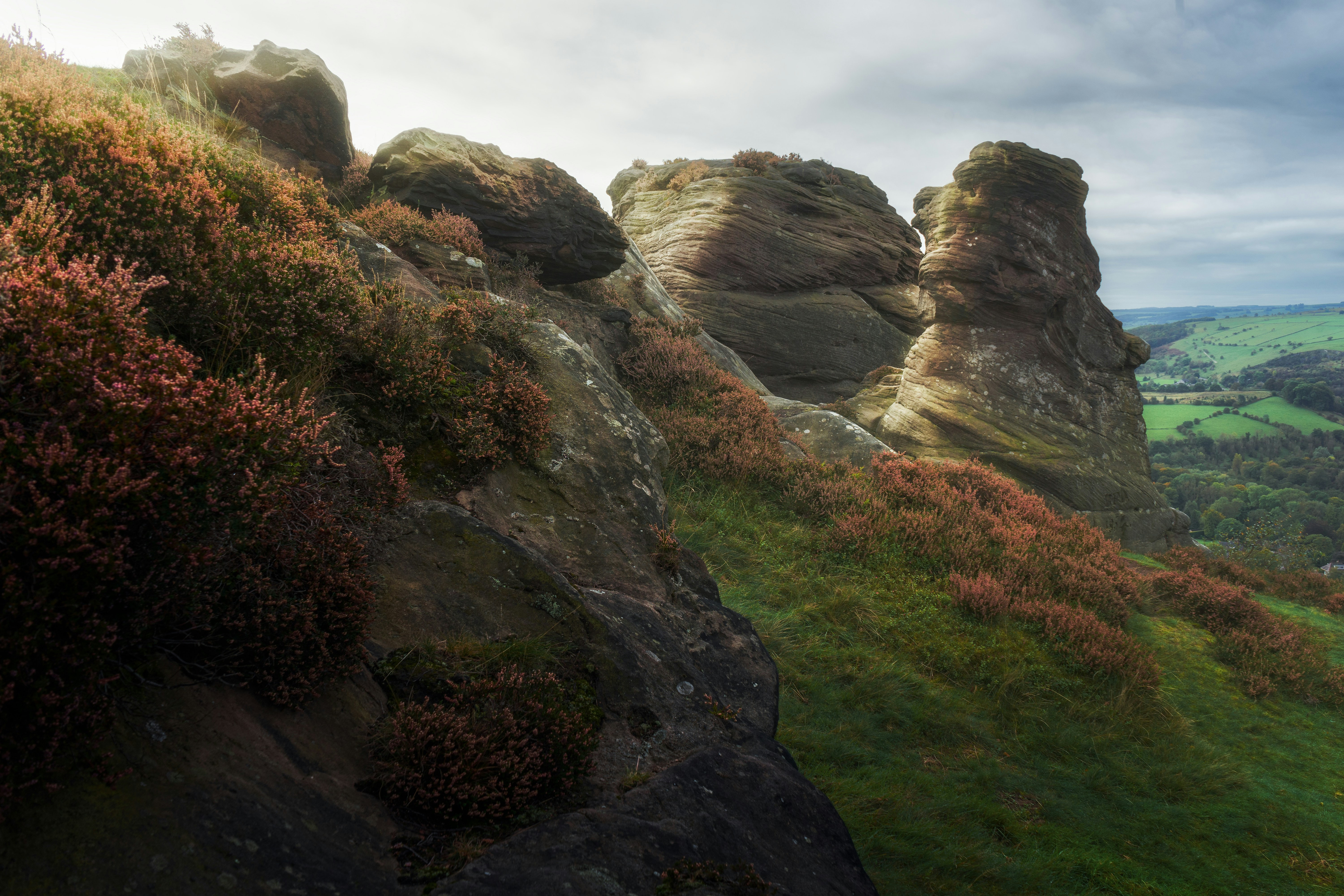 Photo by iancylkowskiphotography