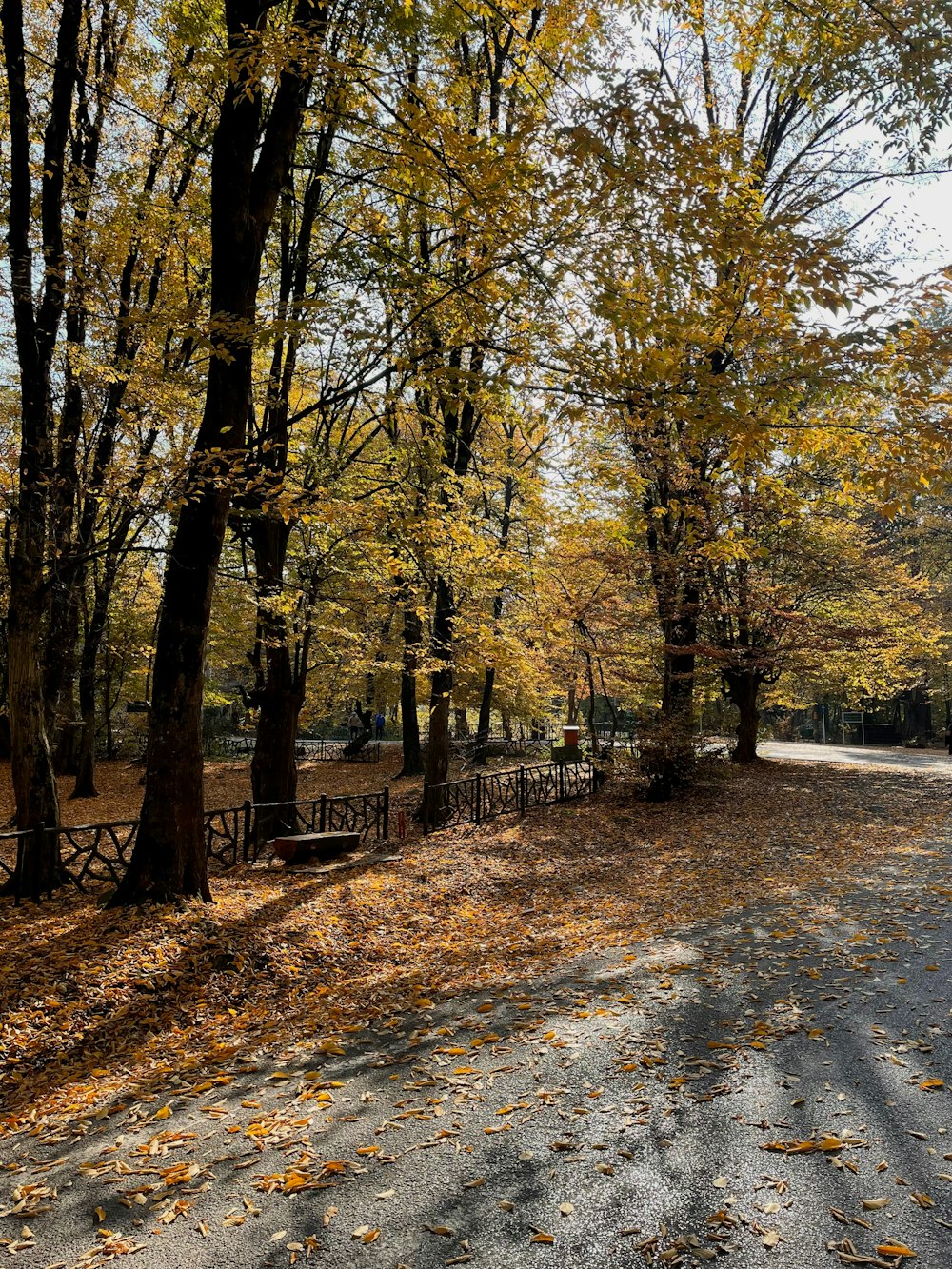 a park bench sitting on the side of a road