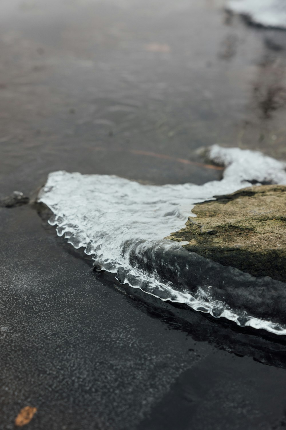 a close up of a rock with water coming out of it