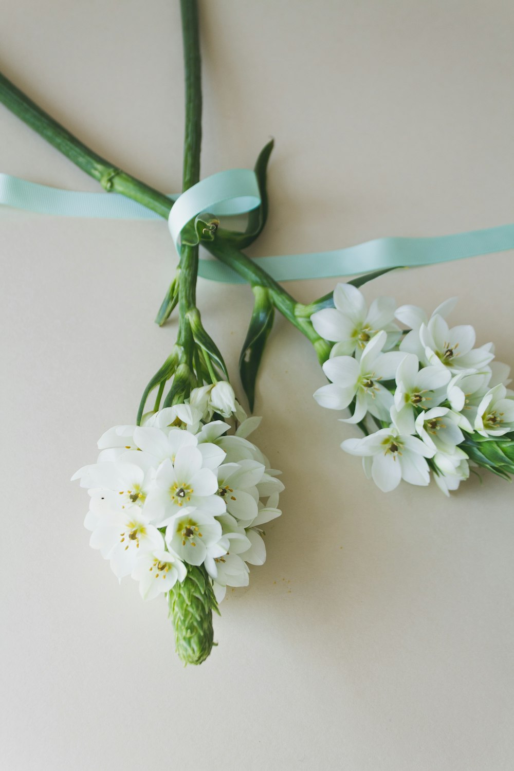 um par de flores que estão em uma mesa