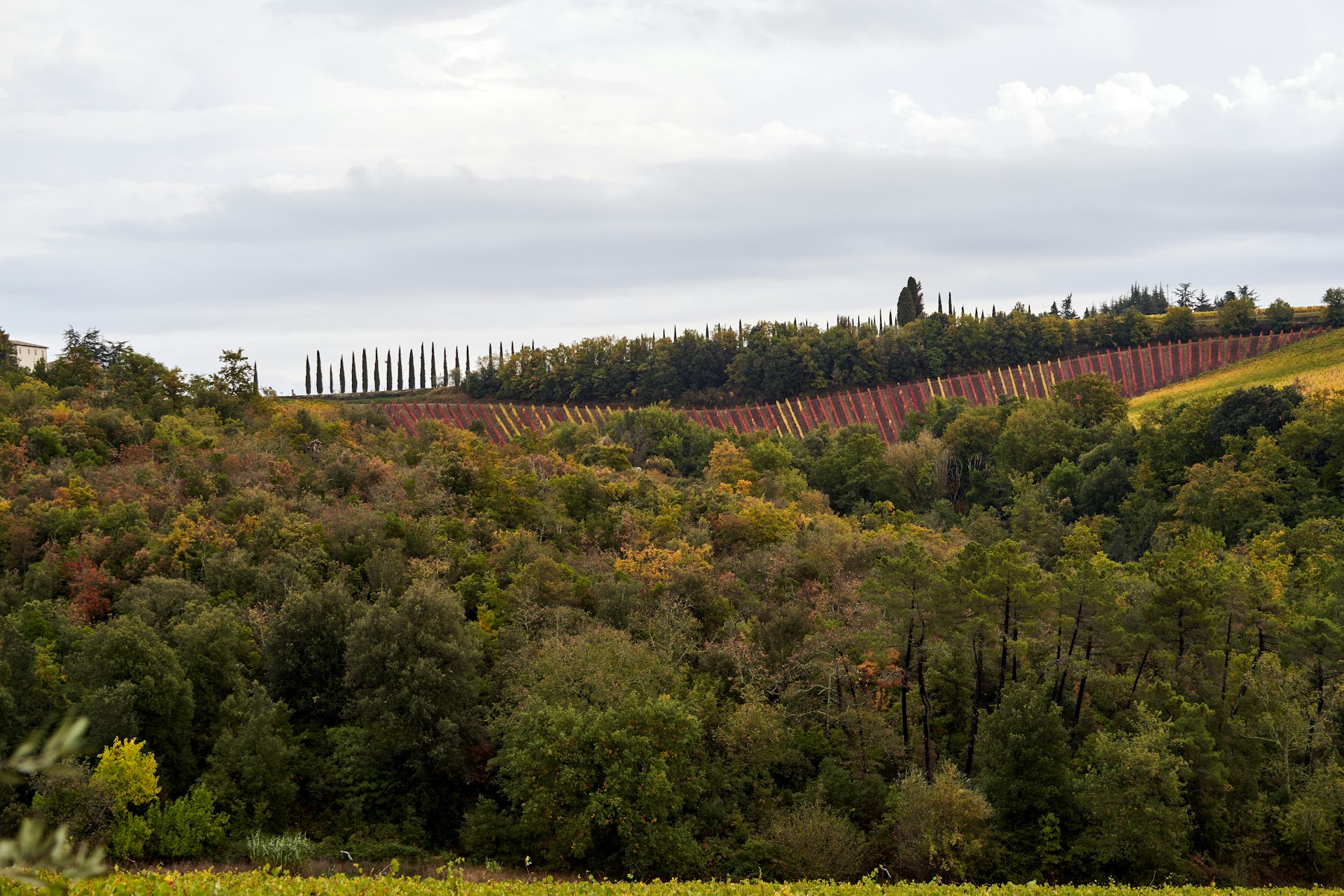 Weingut August Kesseler
