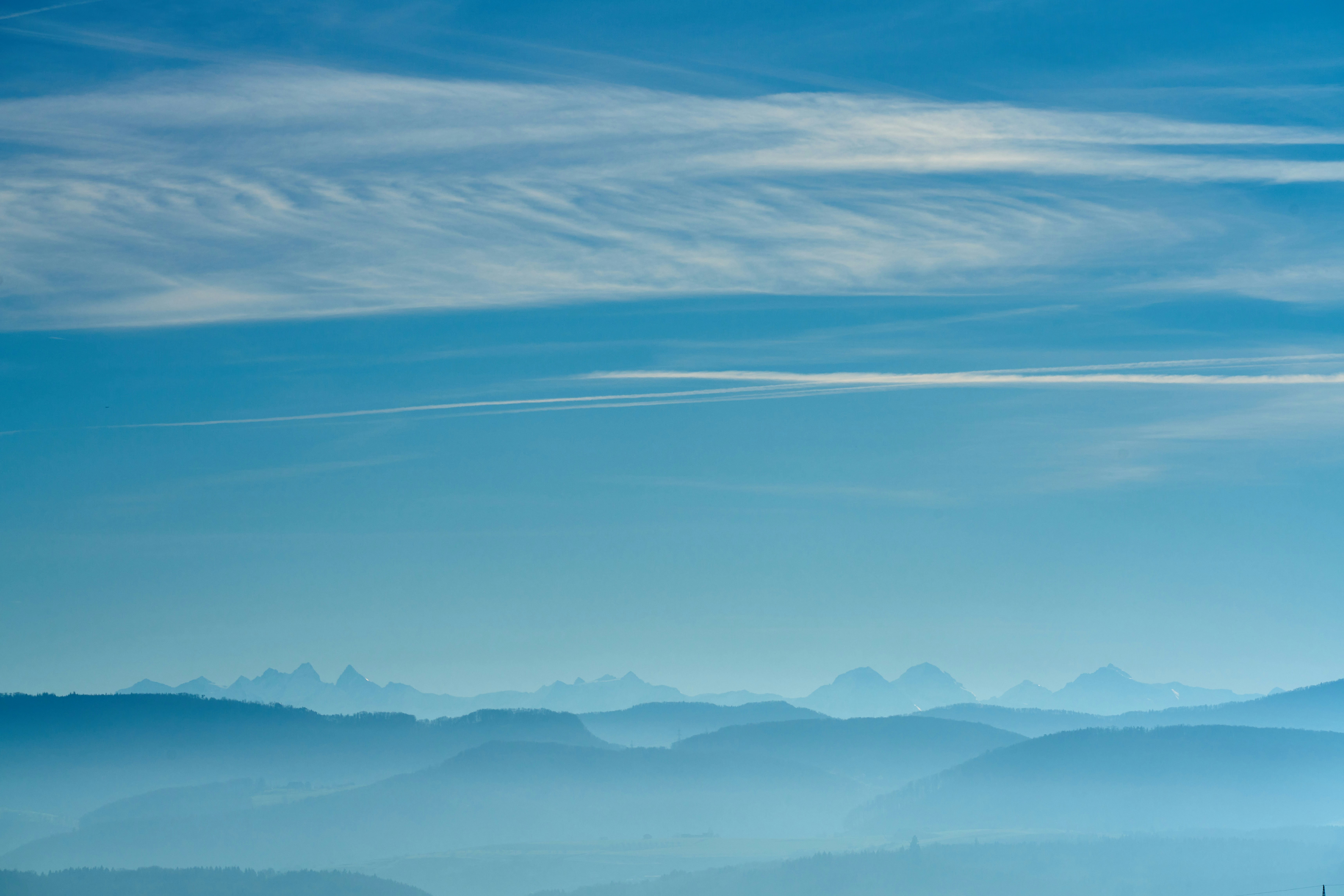 Photo by wolfgang_hasselmann