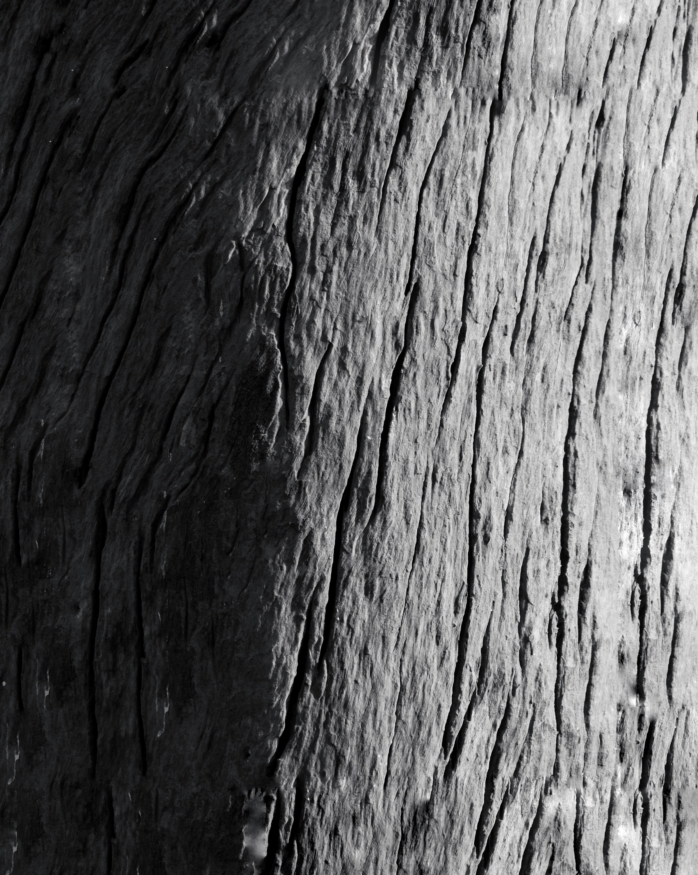 Photo by muhammad0_bilal_11