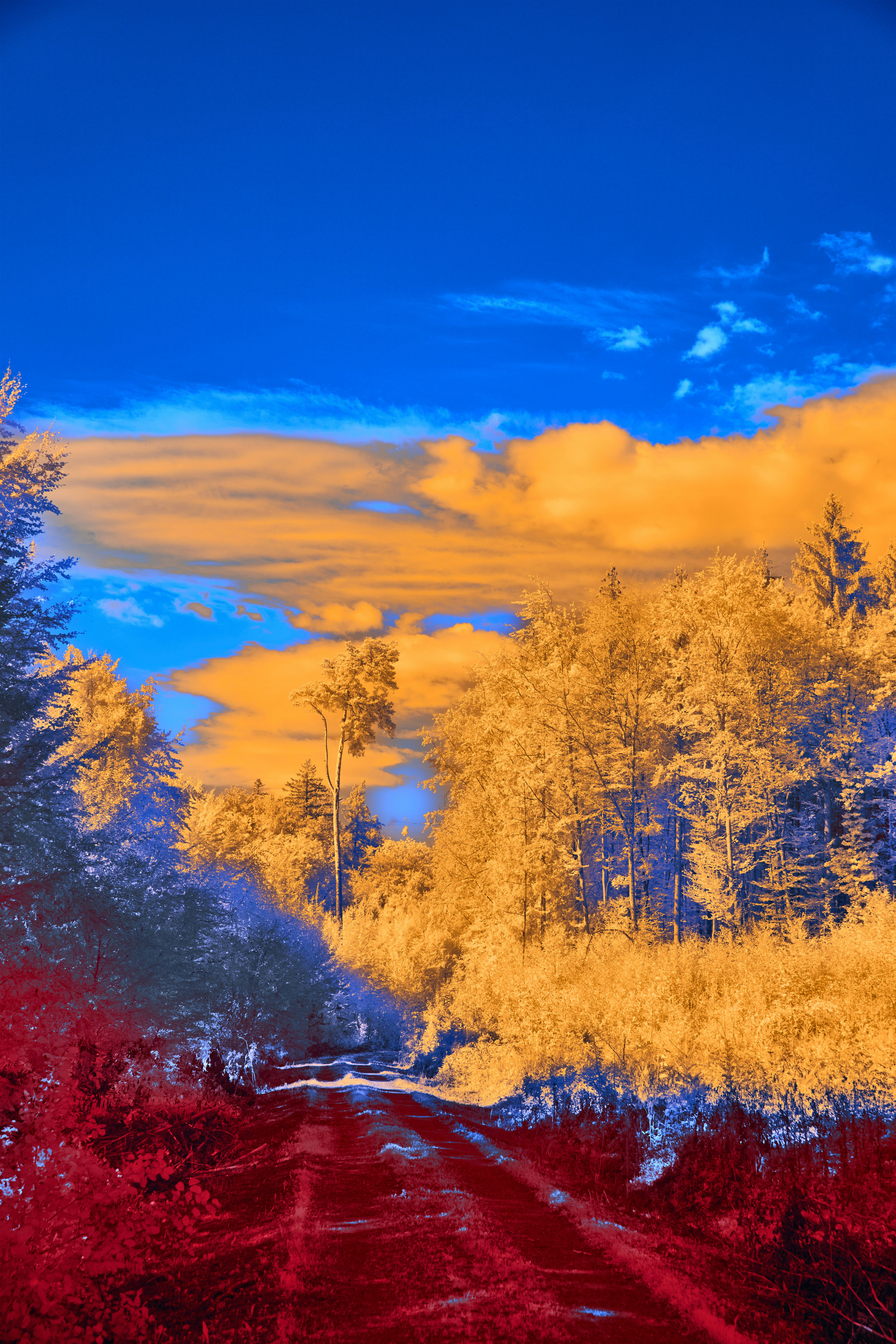 Photo by wolfgang_hasselmann