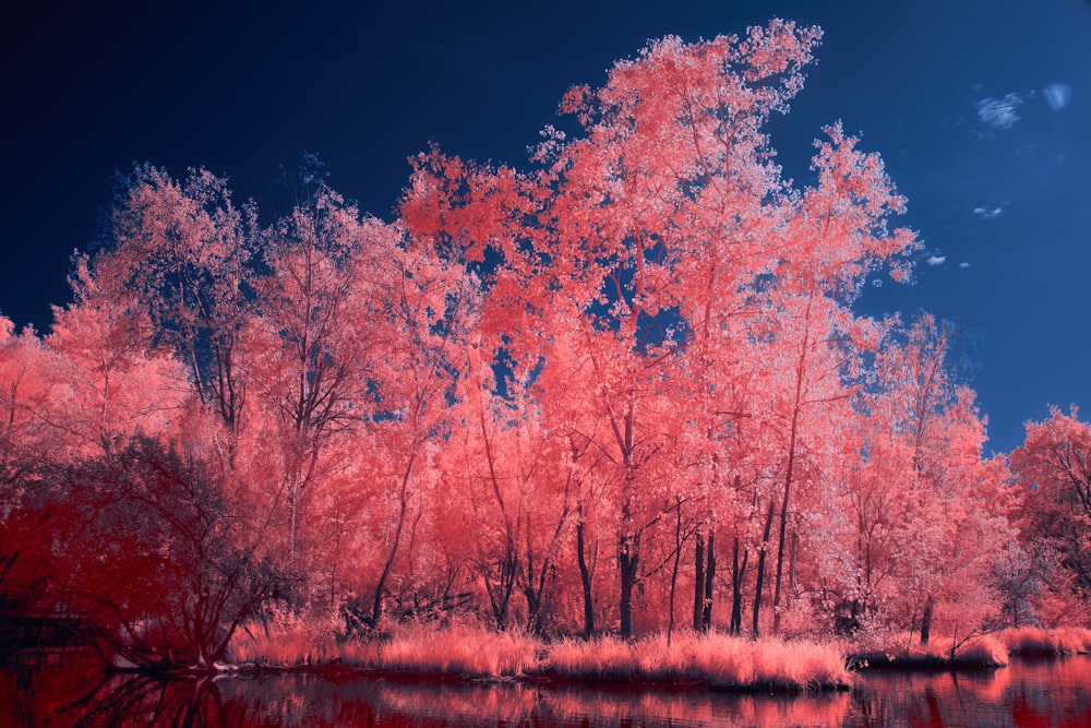 a red and blue photo of trees and water