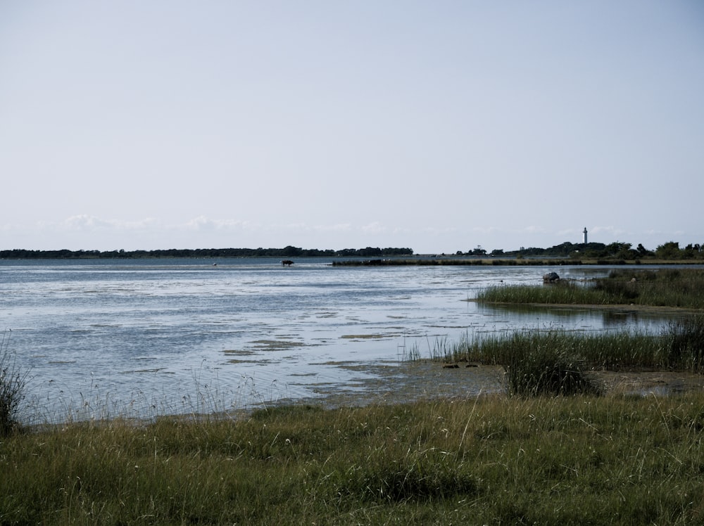 a body of water surrounded by a lush green field