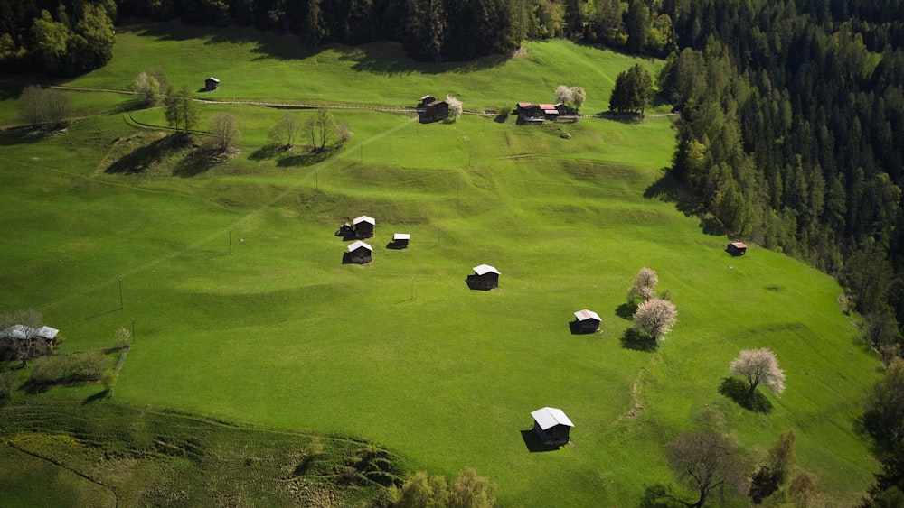 a green field with several small houses in it