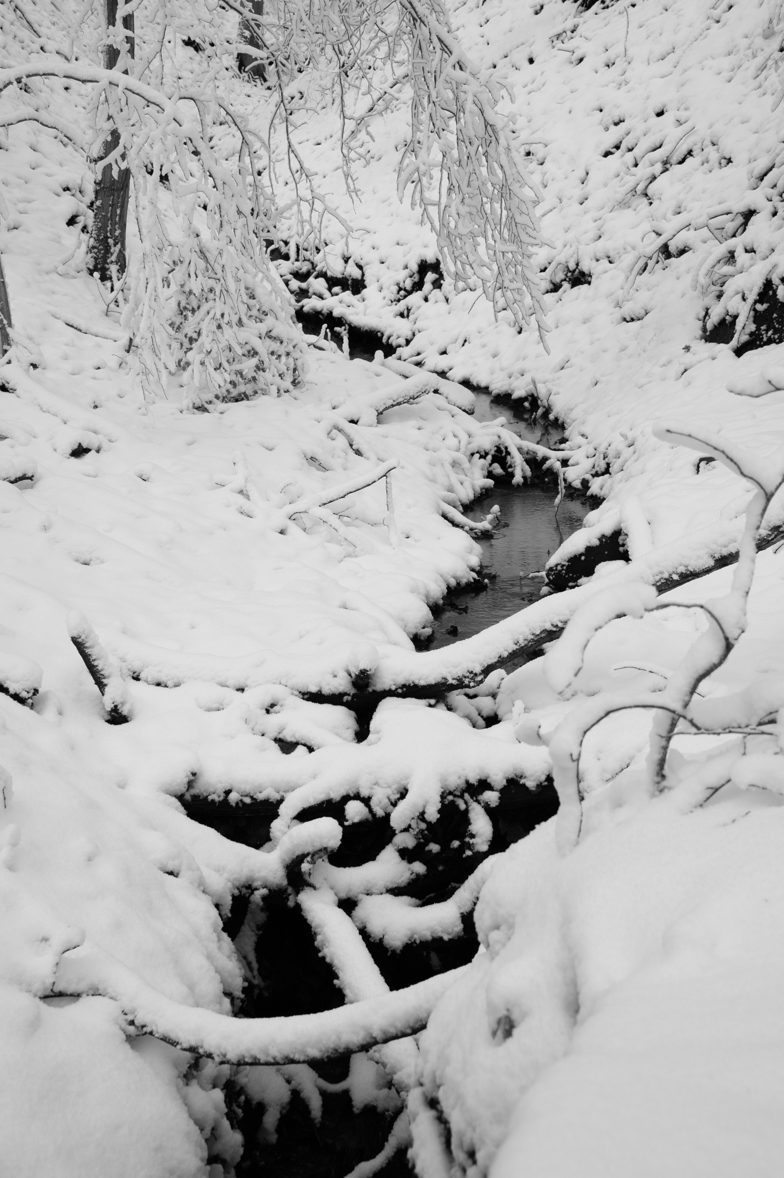 Photo by rrricharddd