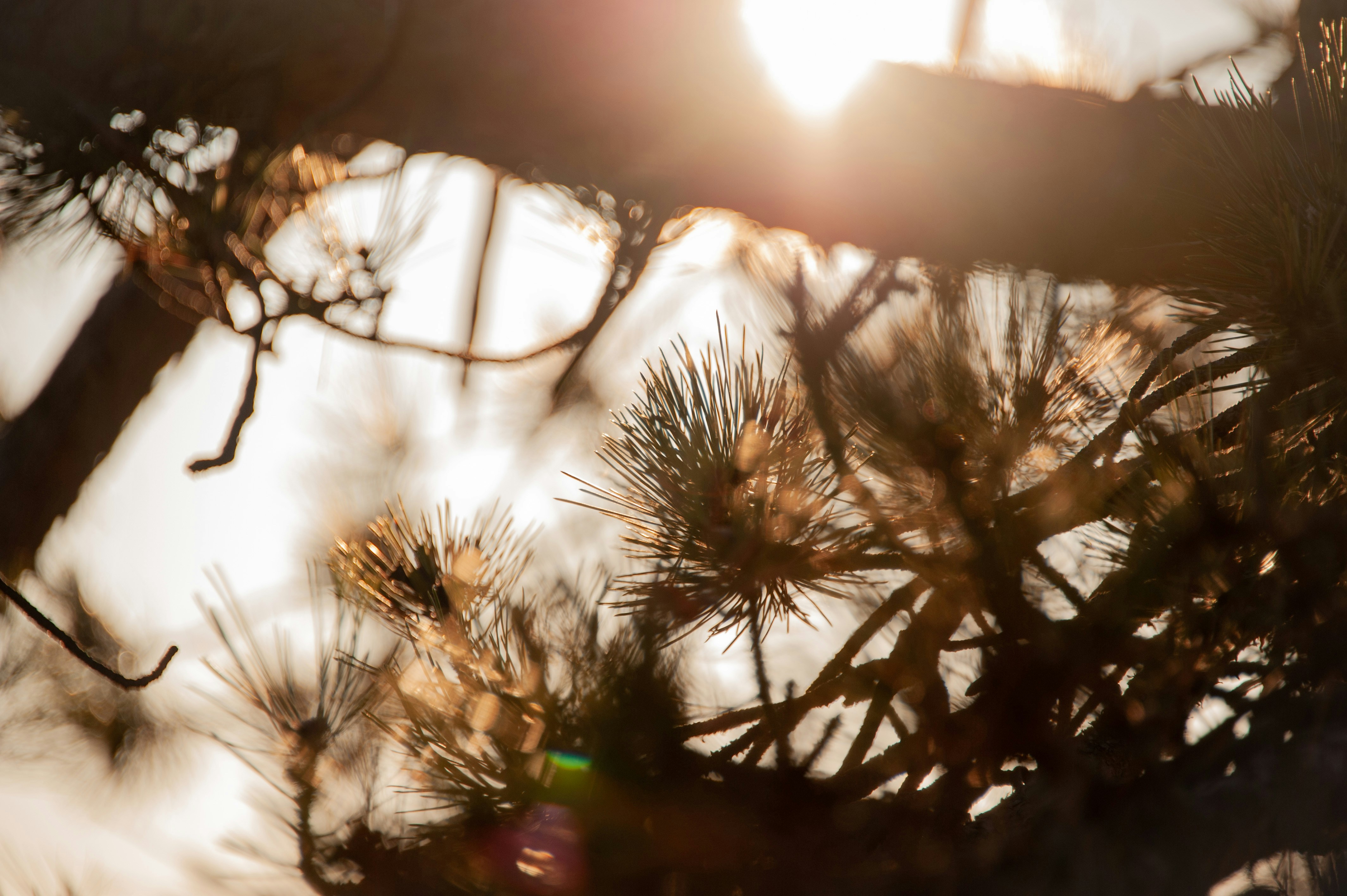 Photo by rrricharddd