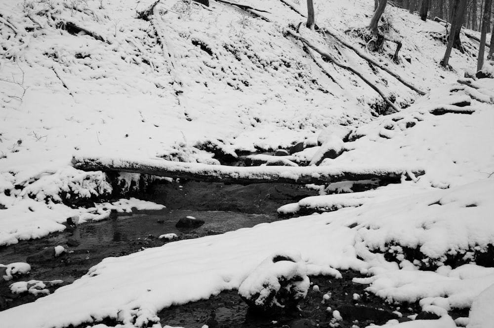 a stream running through a snow covered forest