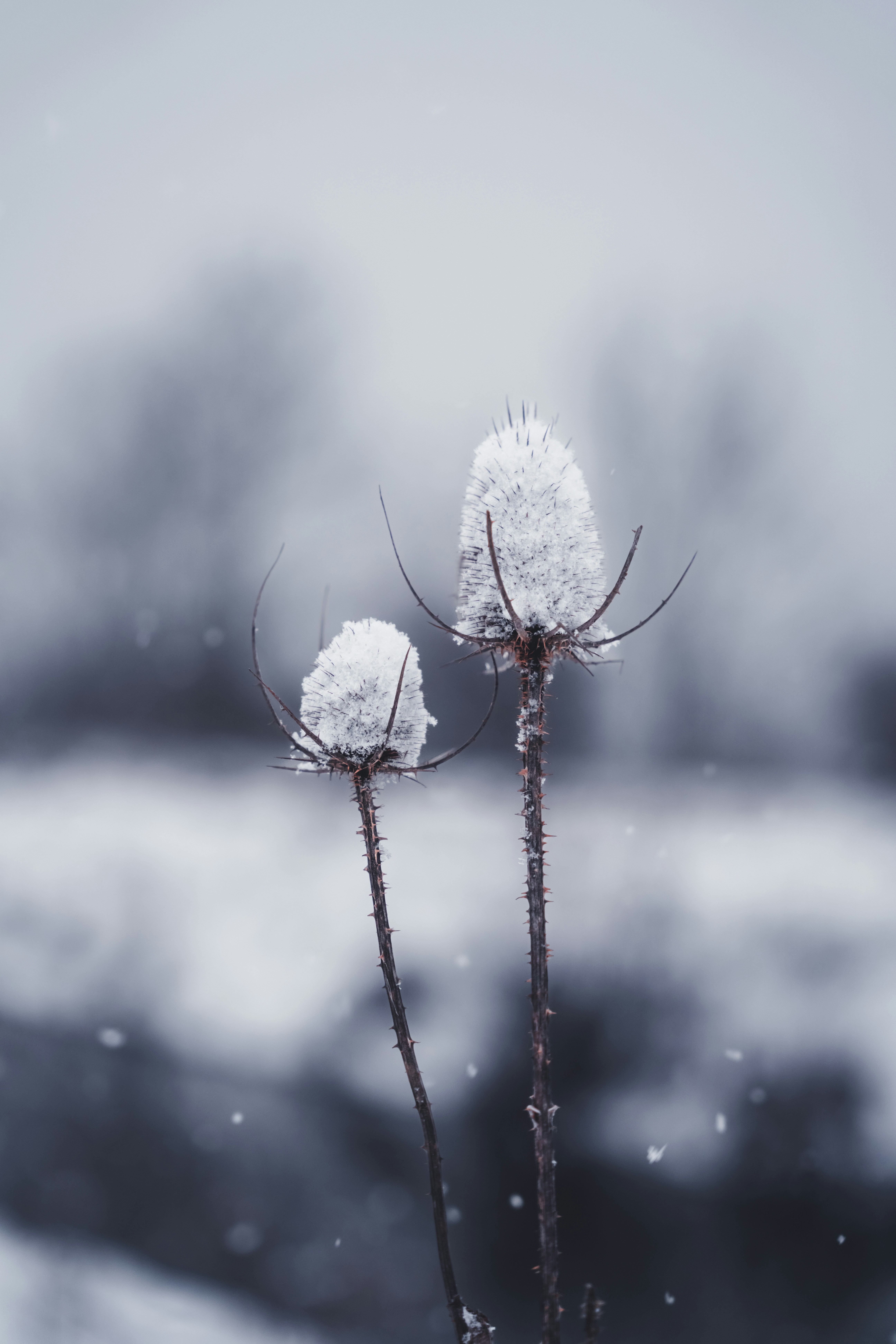 Photo by brotakesphotos