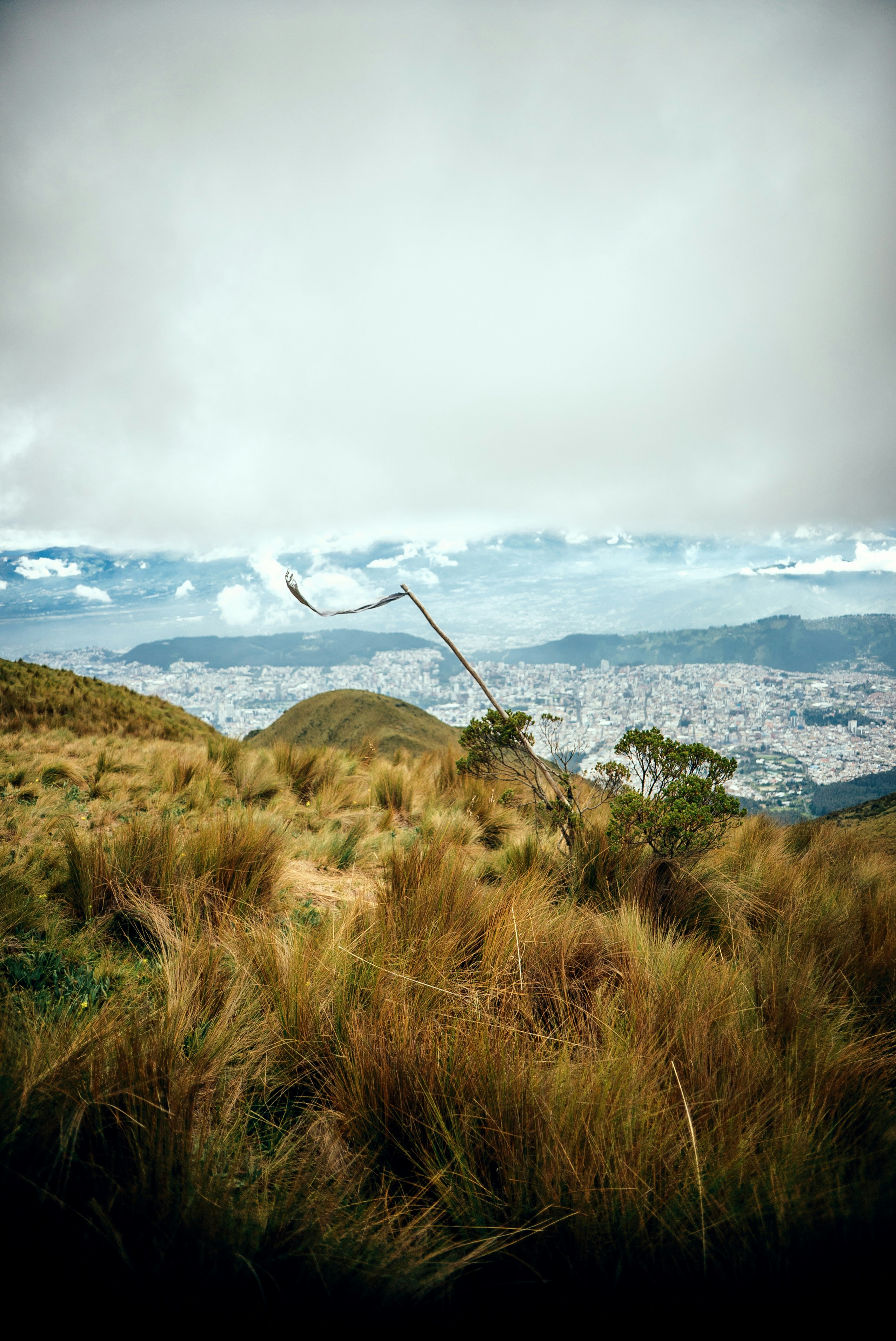 a metal pole sticking out of the side of a grass covered hill
