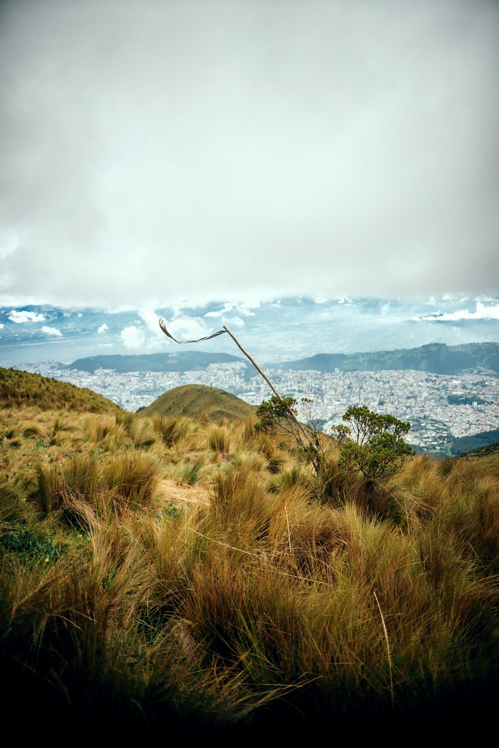 a metal pole sticking out of the side of a grass covered hill