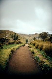 a dirt path in the middle of a grassy field
