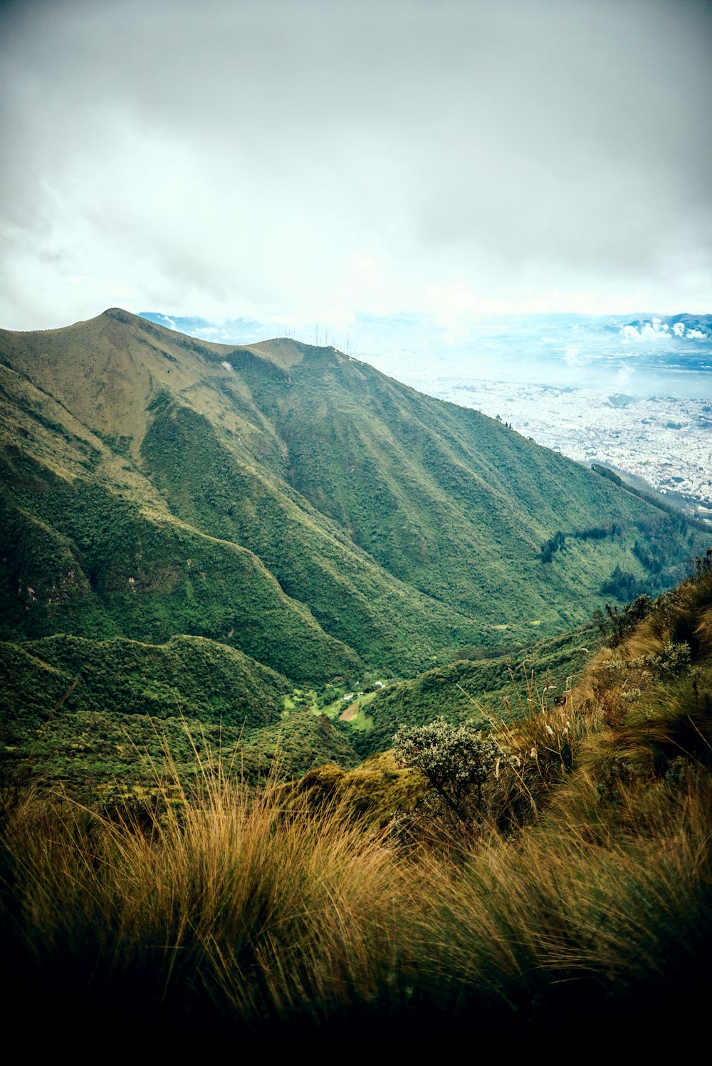 Una vista de una exuberante cordillera verde