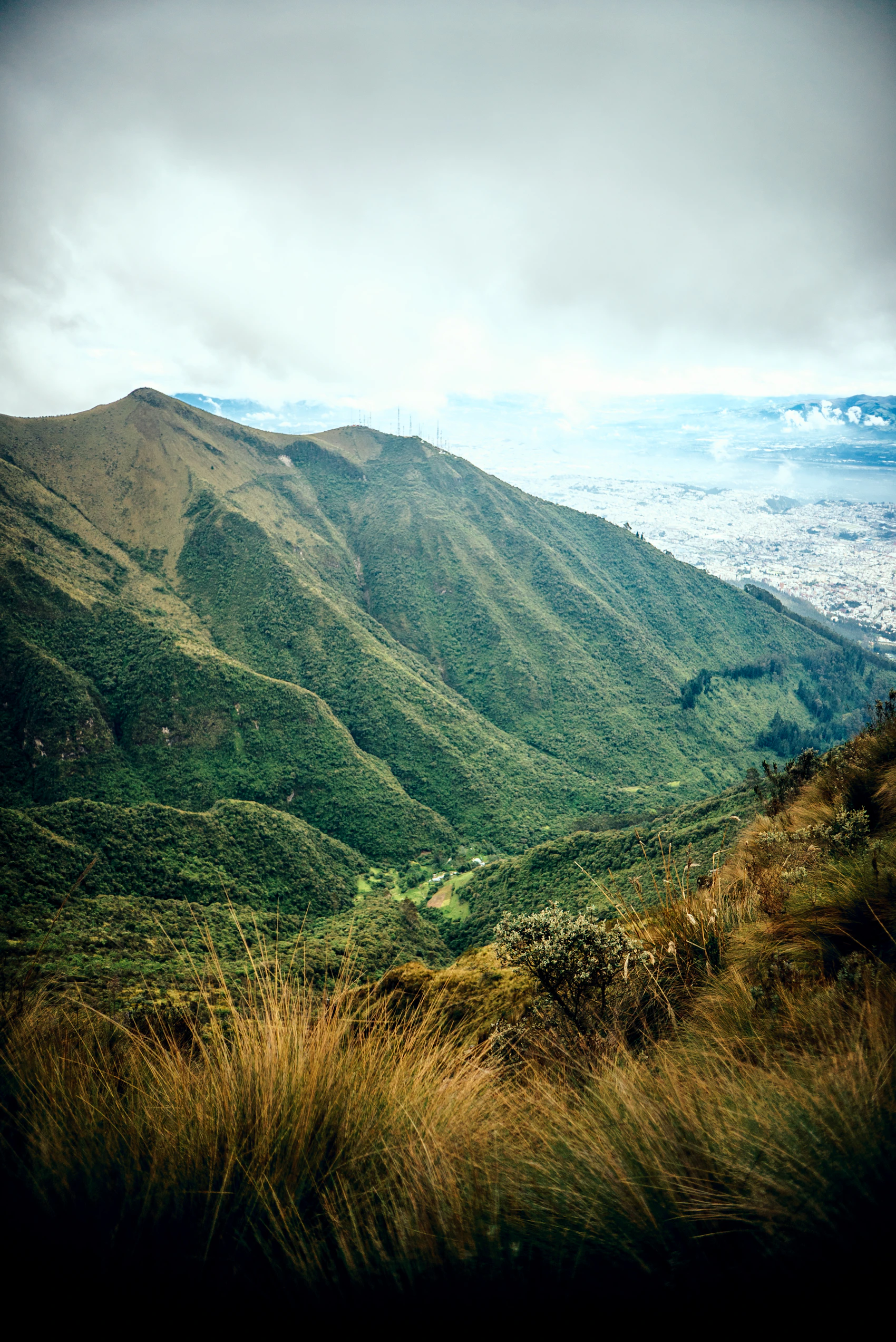 Lush green mountain ridges rising above Quito