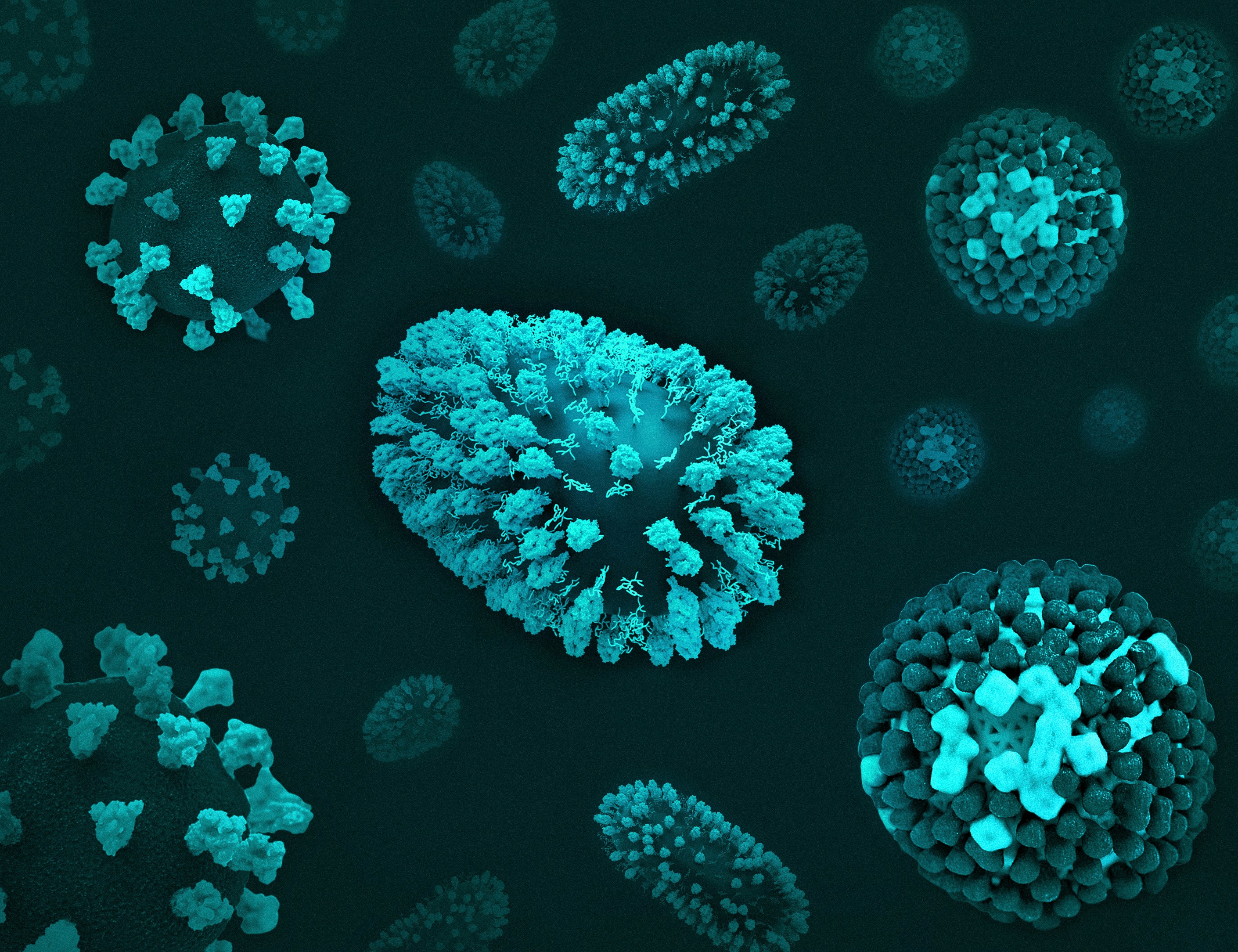 COVID-19, RSV, and Flu 3D renditions of three respiratory viruses: COVID-19 (left), RSV (center; oblong shape), and flu (right). Credit: NIAID https://www.flickr.com/photos/niaid/53378865257/
