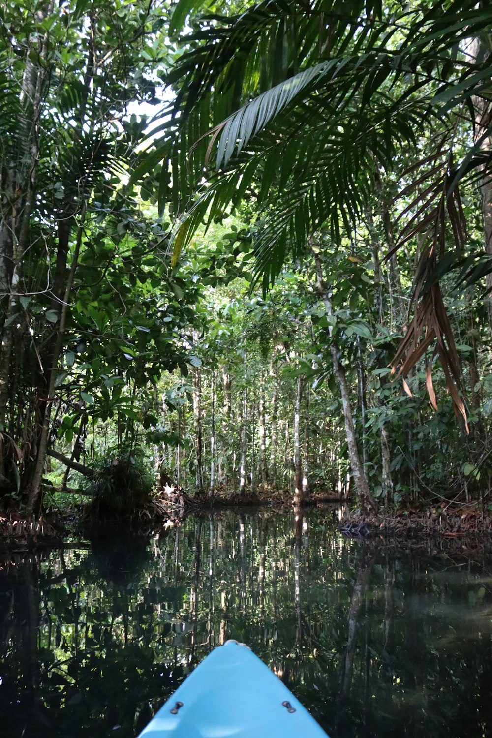 a blue kayak in the middle of a river surrounded by trees