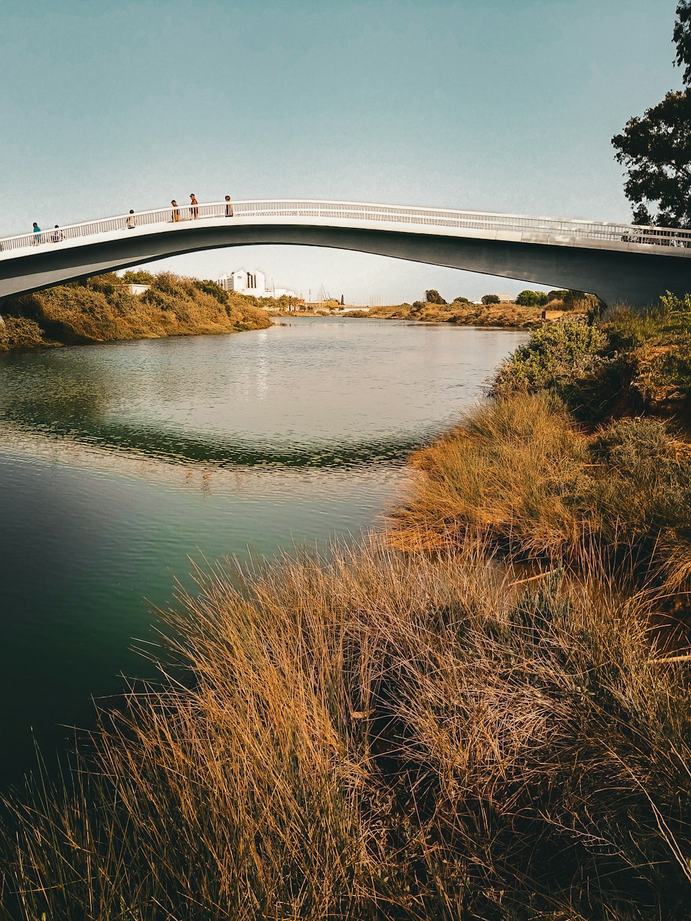 a bridge over a body of water with people walking on it