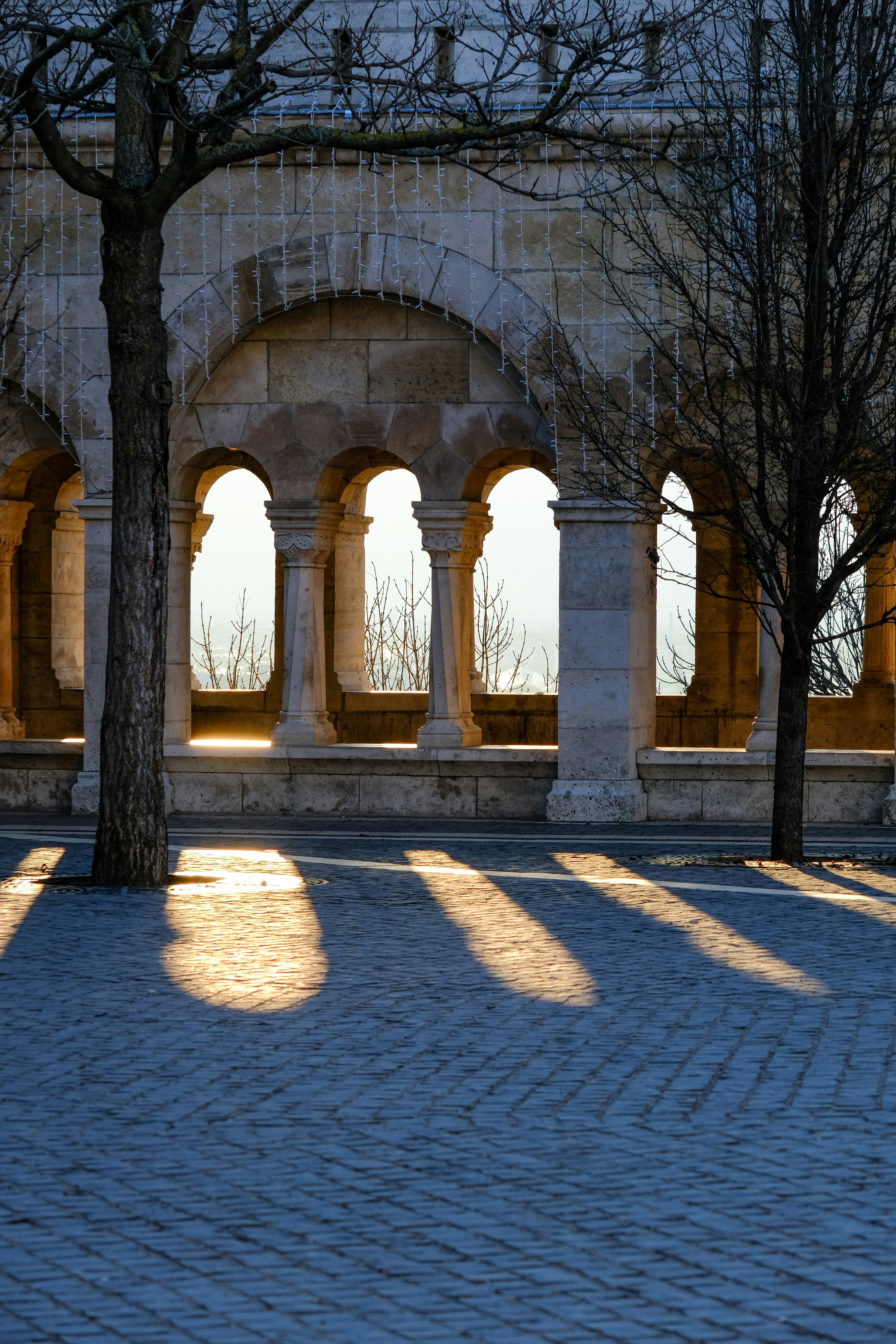 Photo by cestmoisheedy