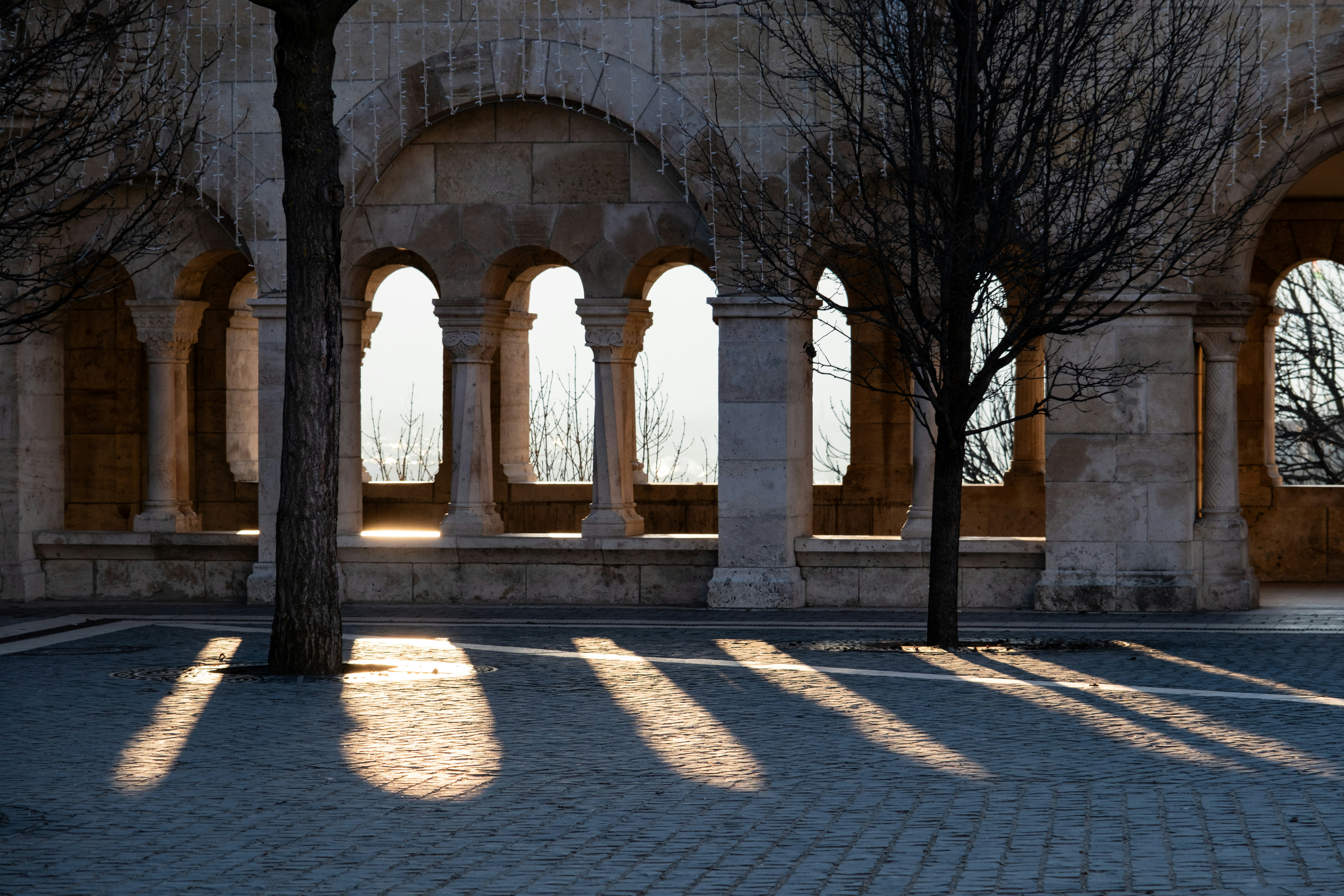 Photo by cestmoisheedy