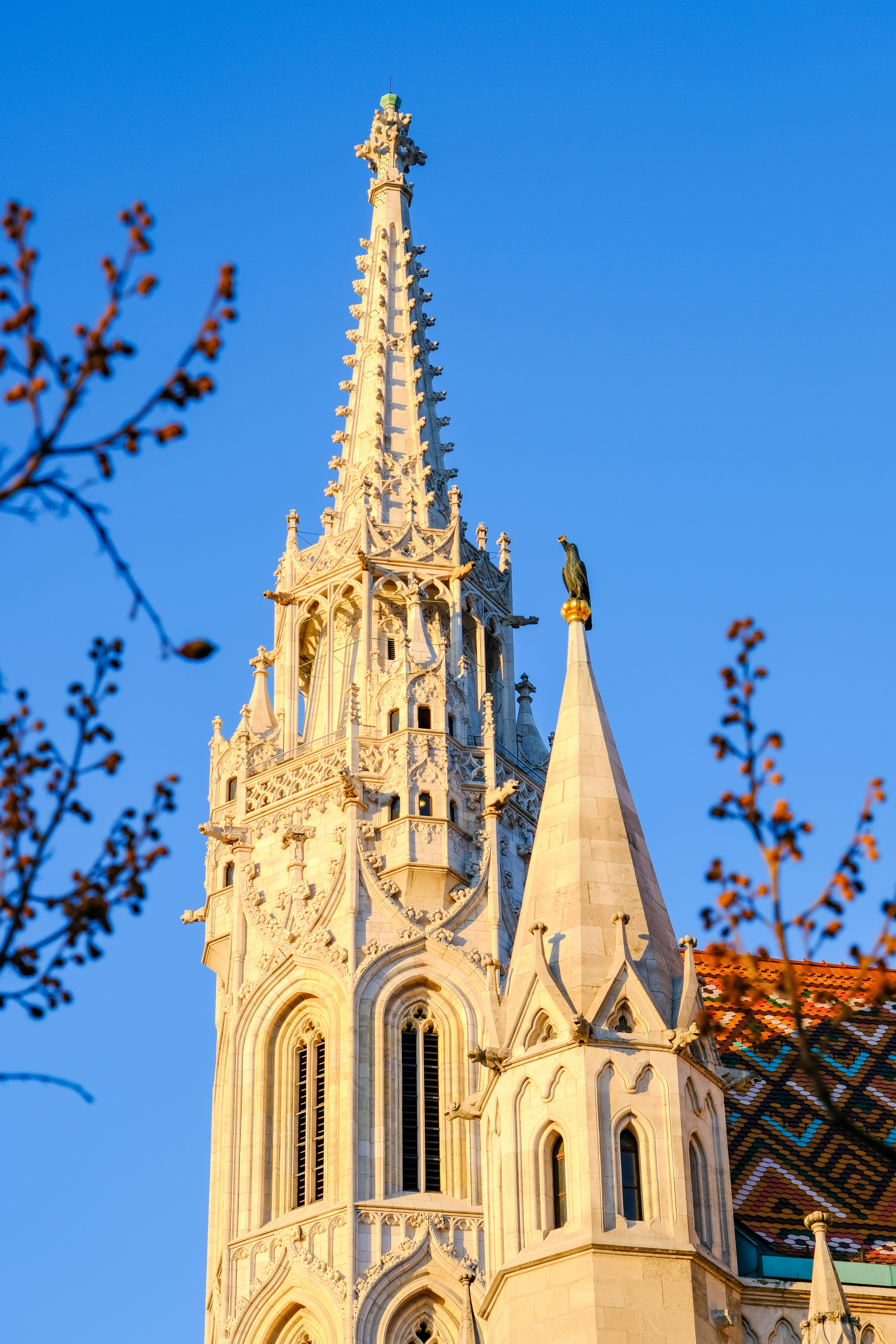 Photo by cestmoisheedy