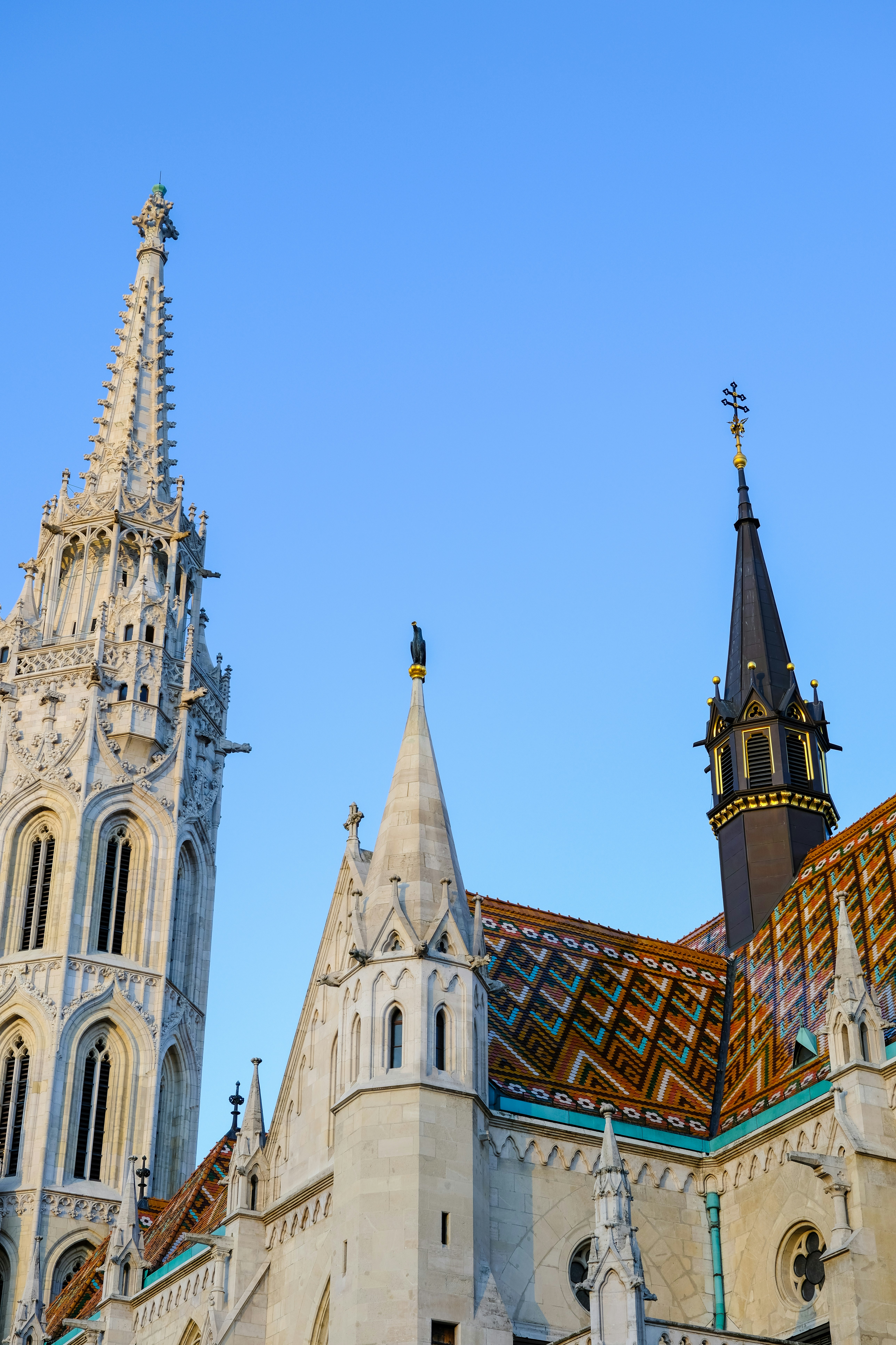 Photo by cestmoisheedy