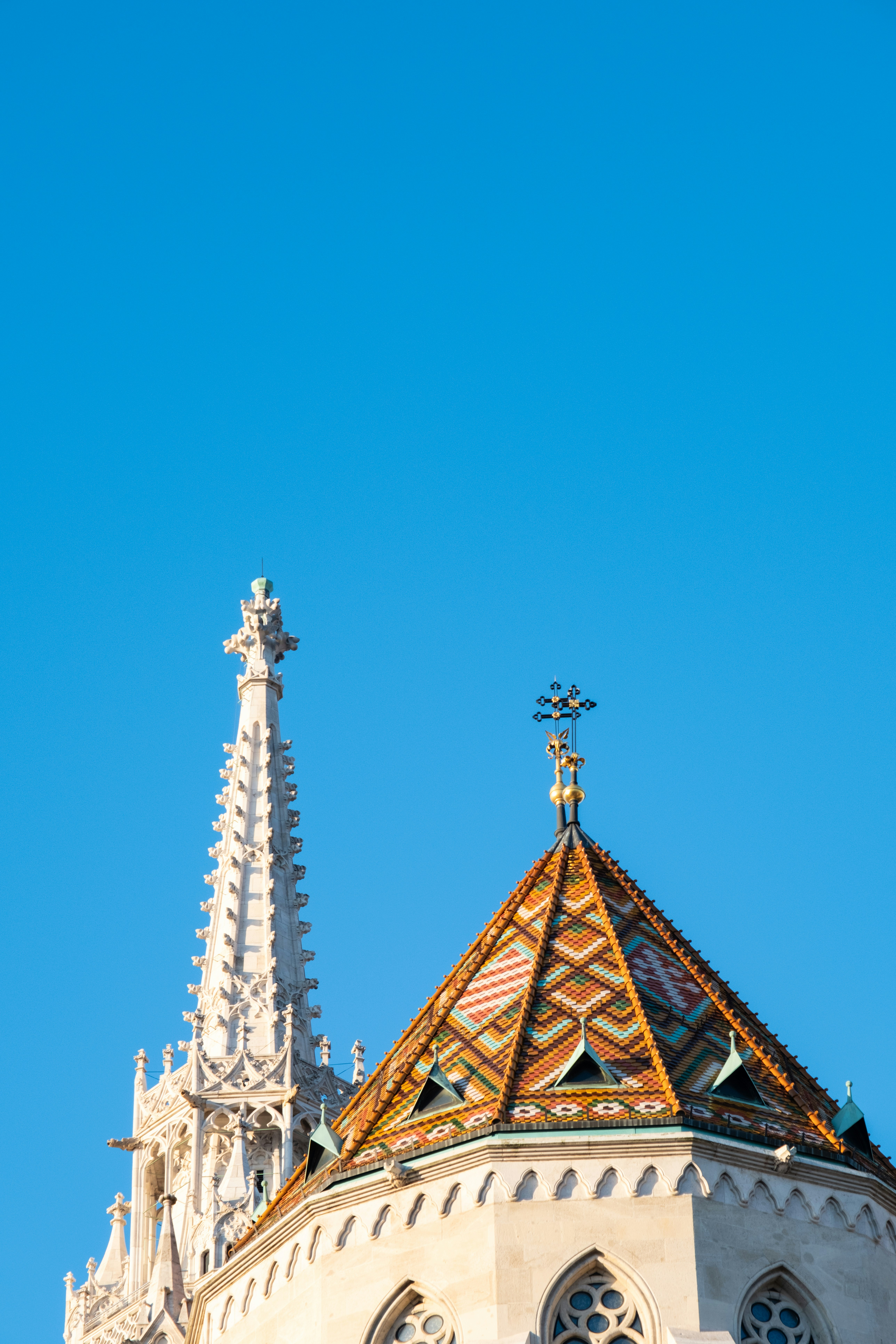 Photo by cestmoisheedy