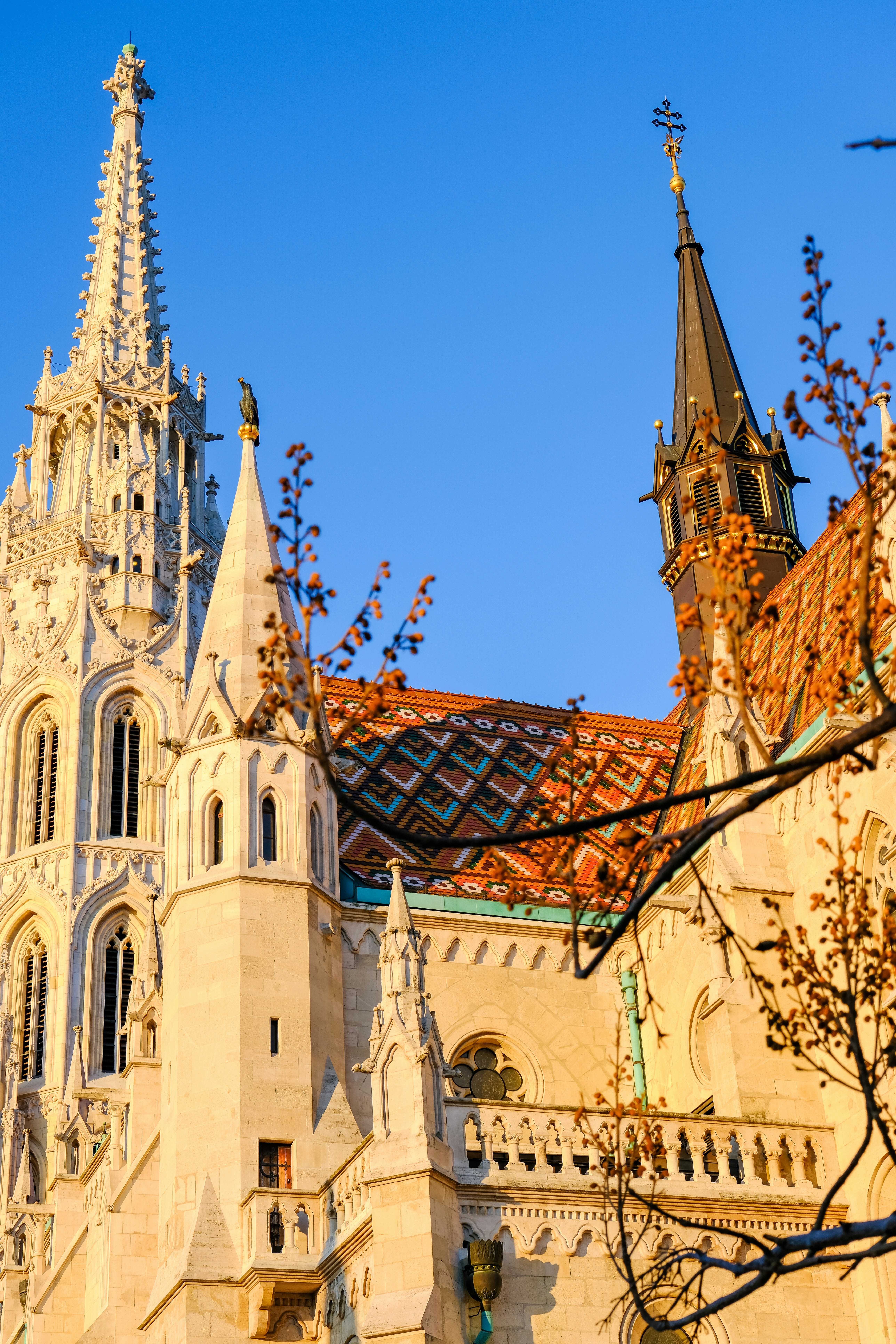 Photo by cestmoisheedy