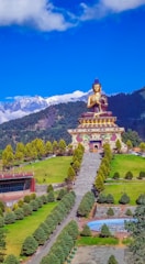 Website Designer in Sikkim | Gangtok