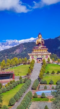 Website Designer in Sikkim | Gangtok